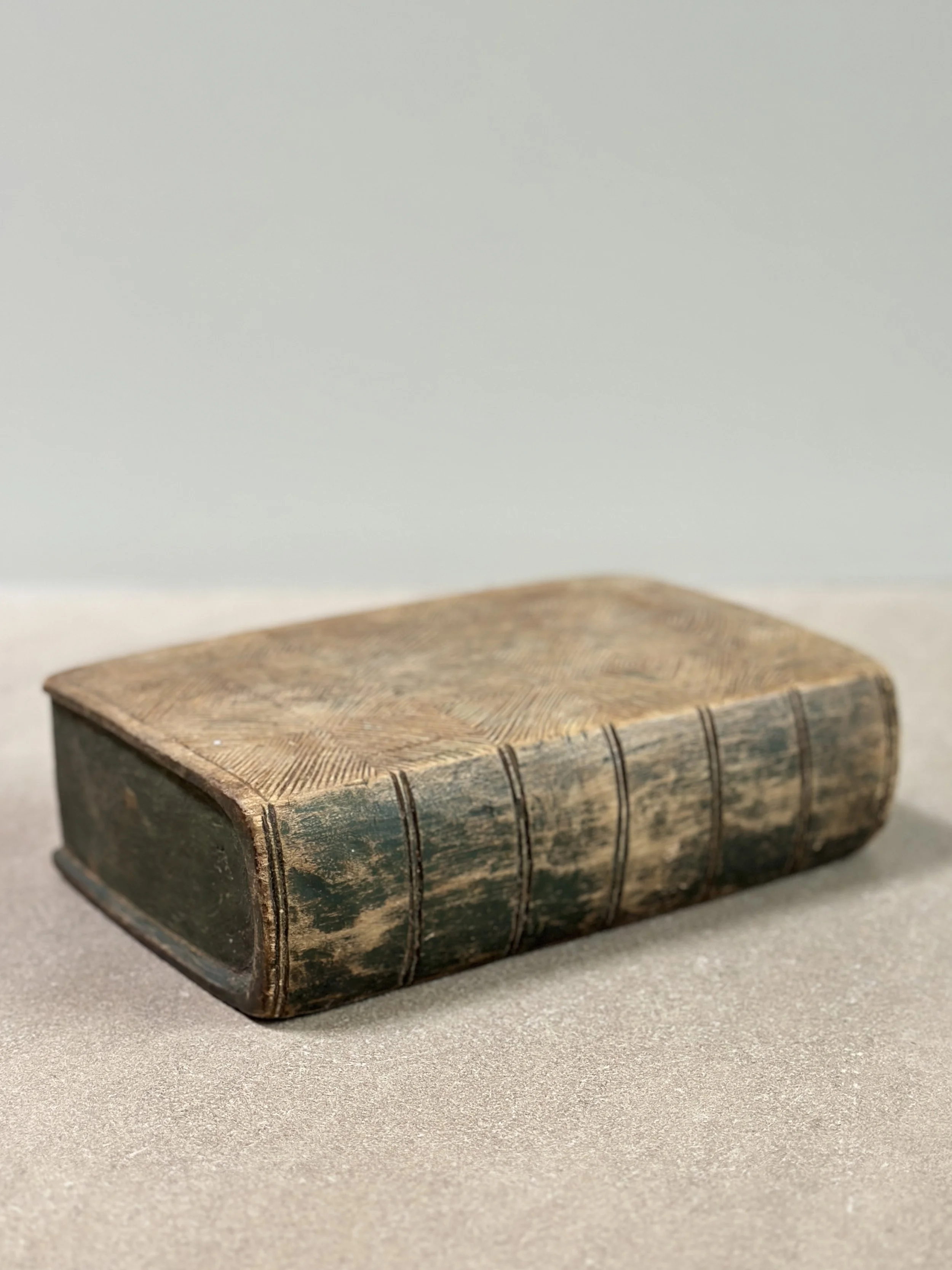 Rare Swedish Book Hide, 19th Century