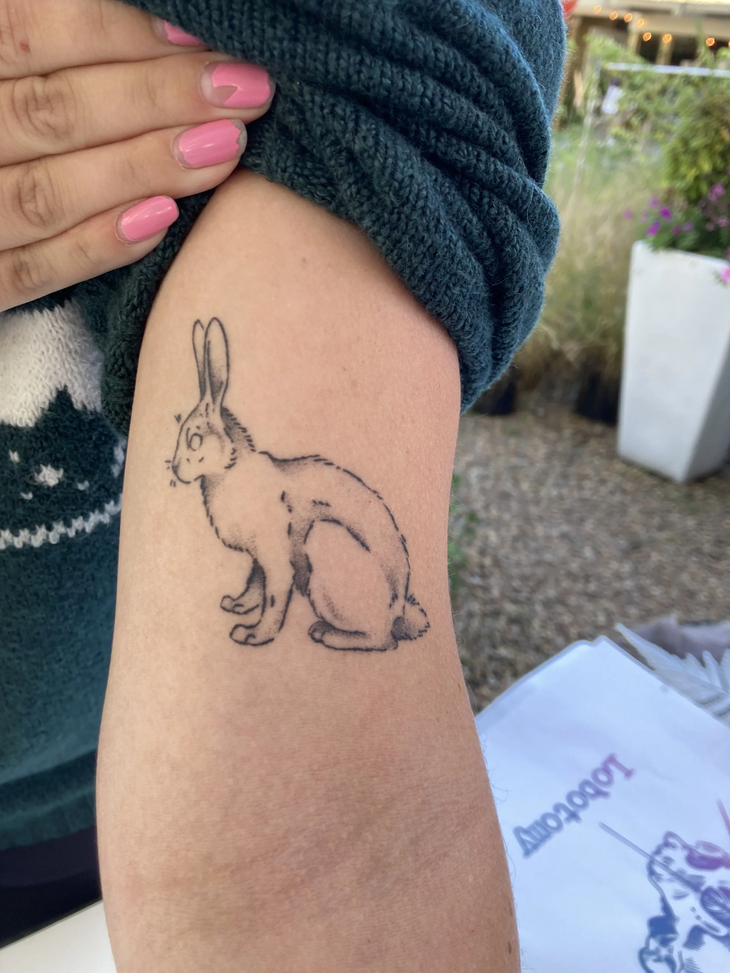 healedrabbit.jpg
