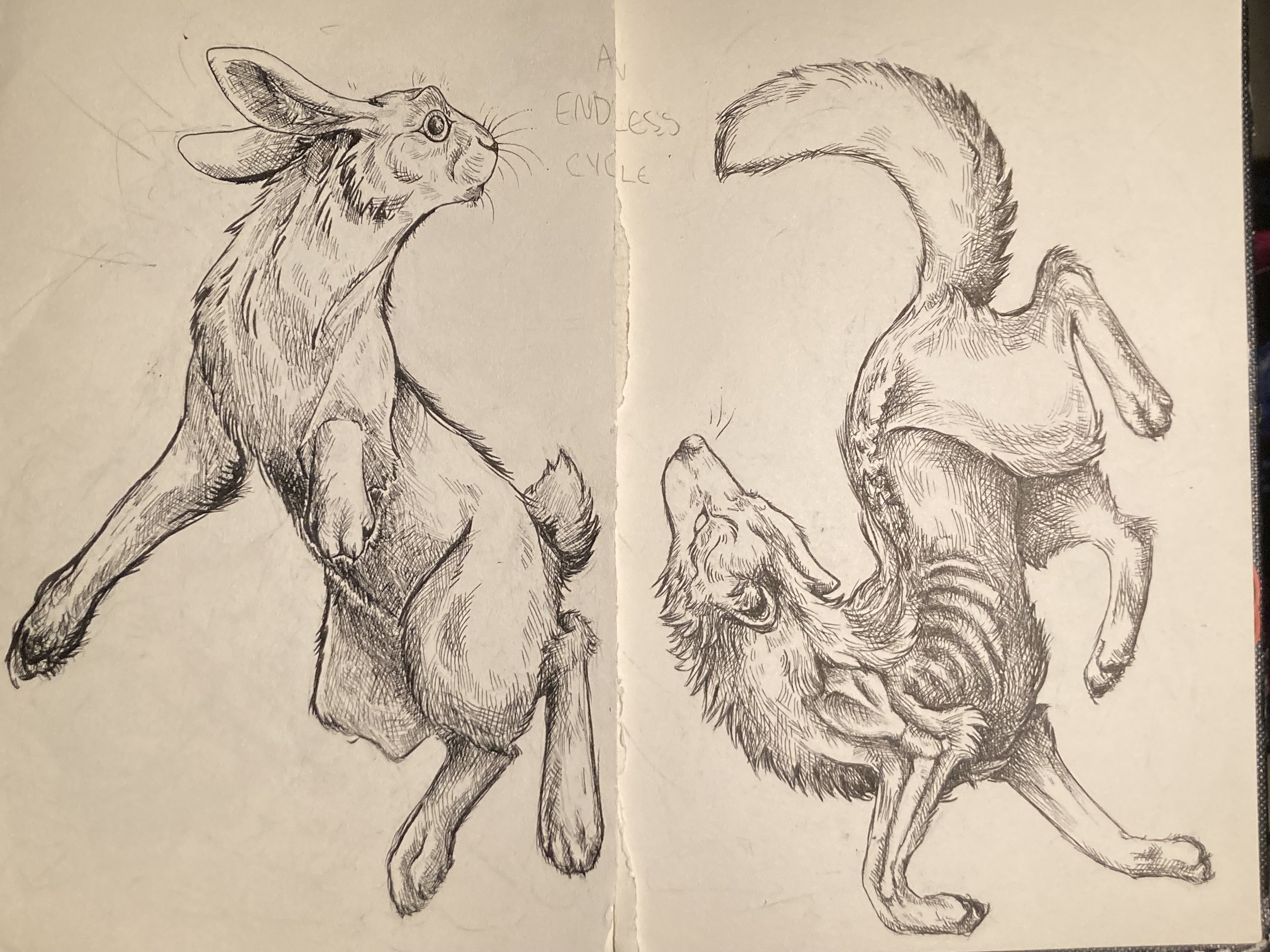 Endless Cycle - graphite, 2024