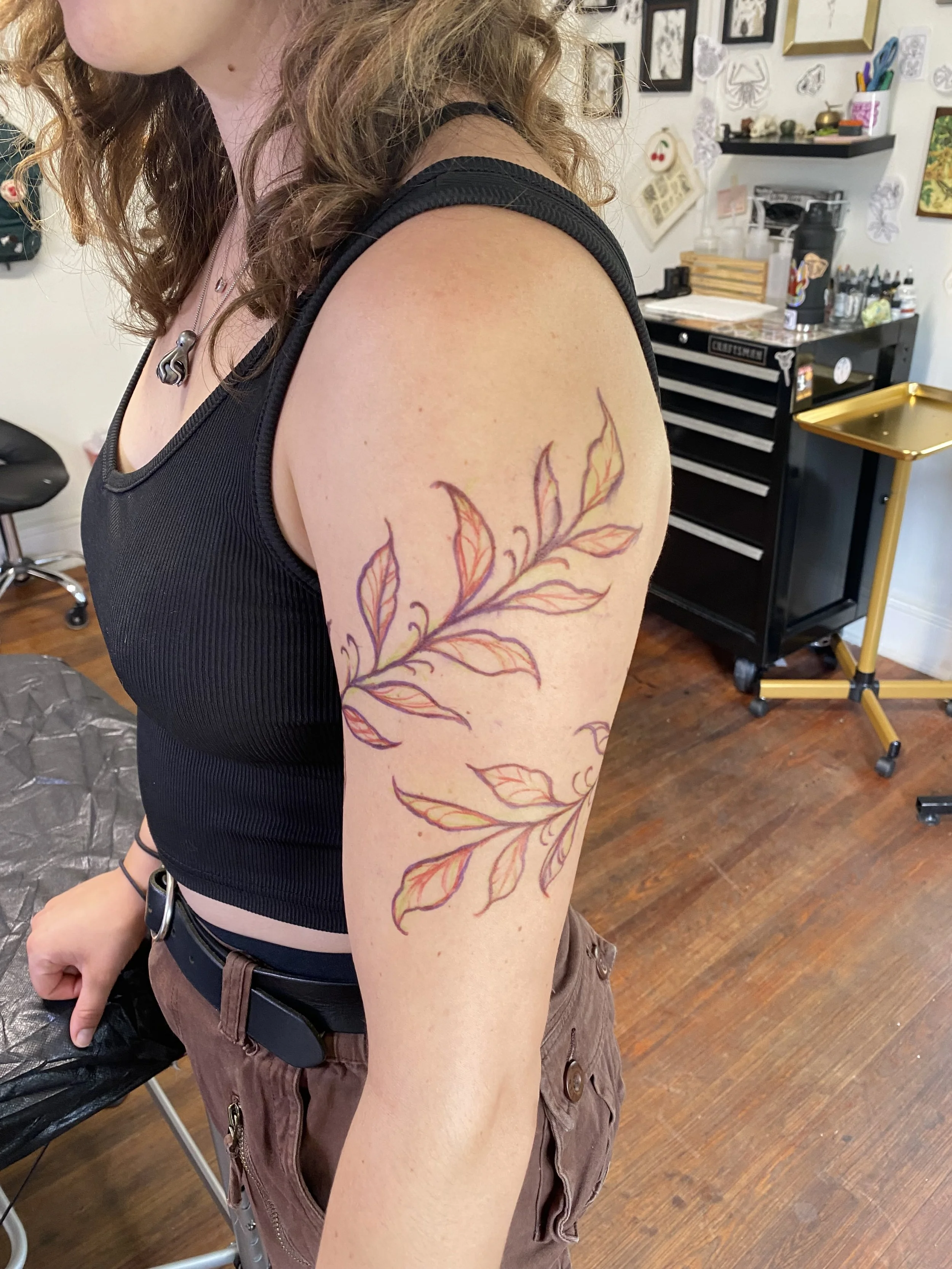 may 2024 freehand stencil