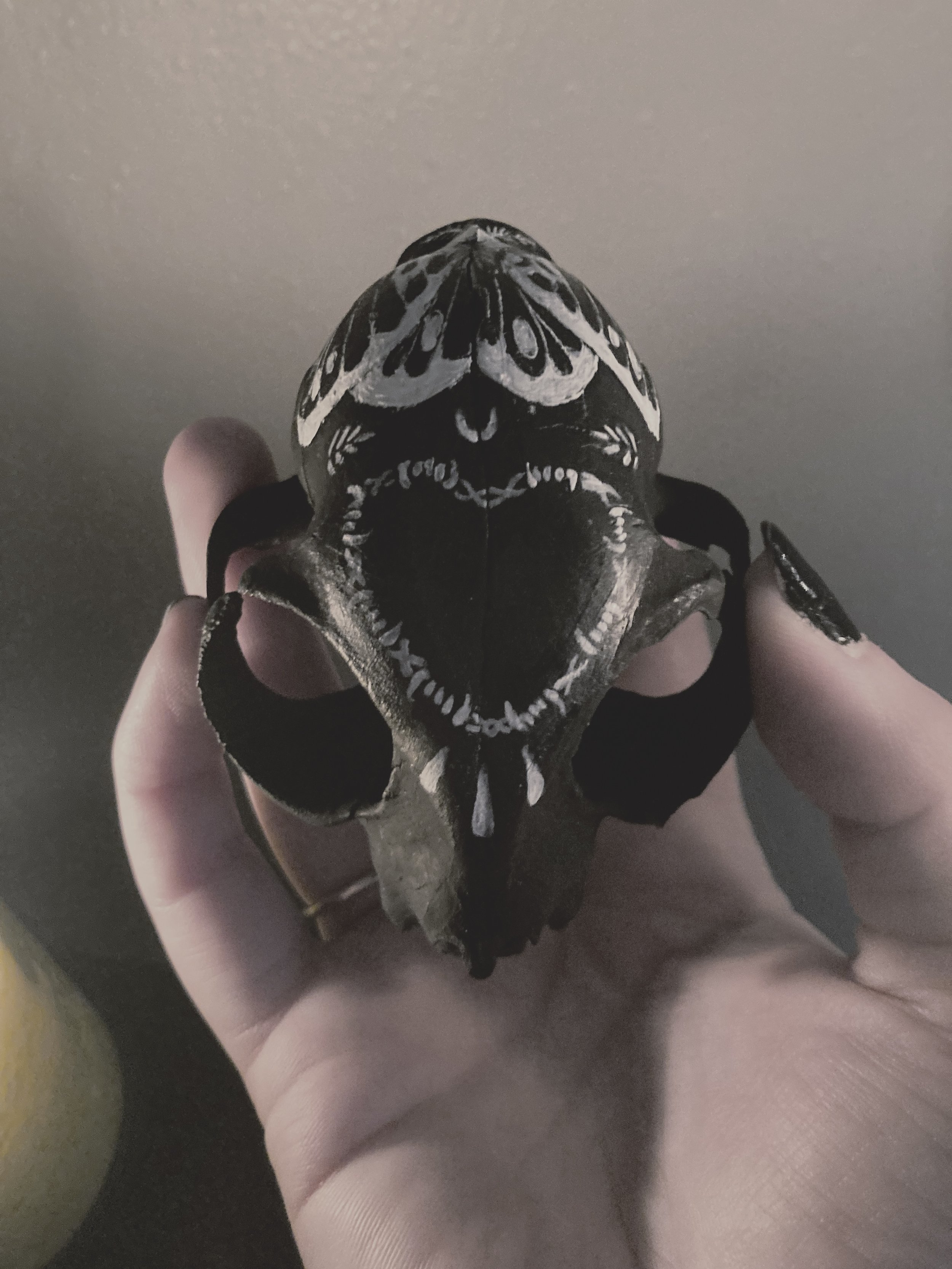 IMG_1025.jpeg