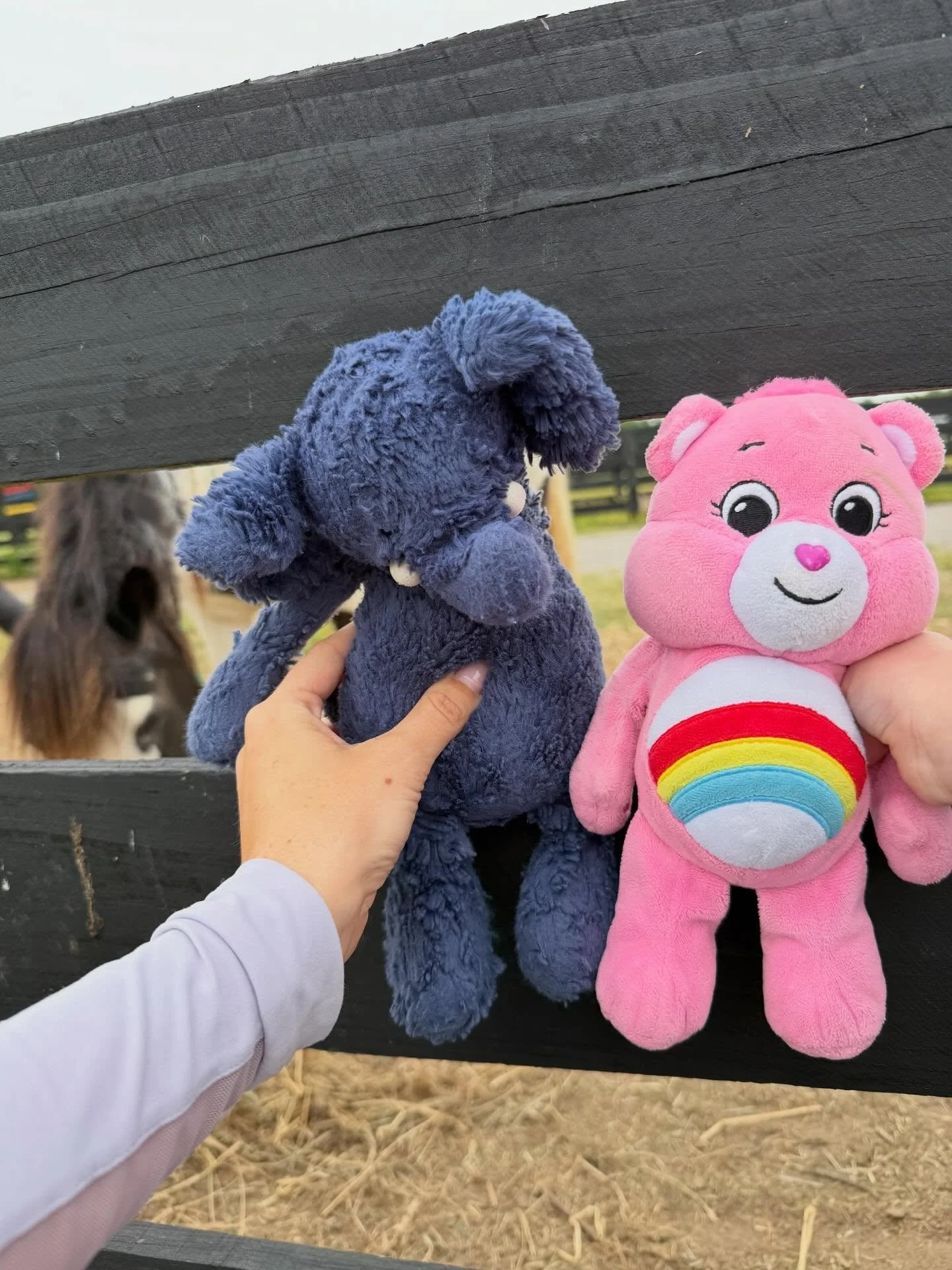 Stuffies got to visit the barn for speech therapy this morning 🥹