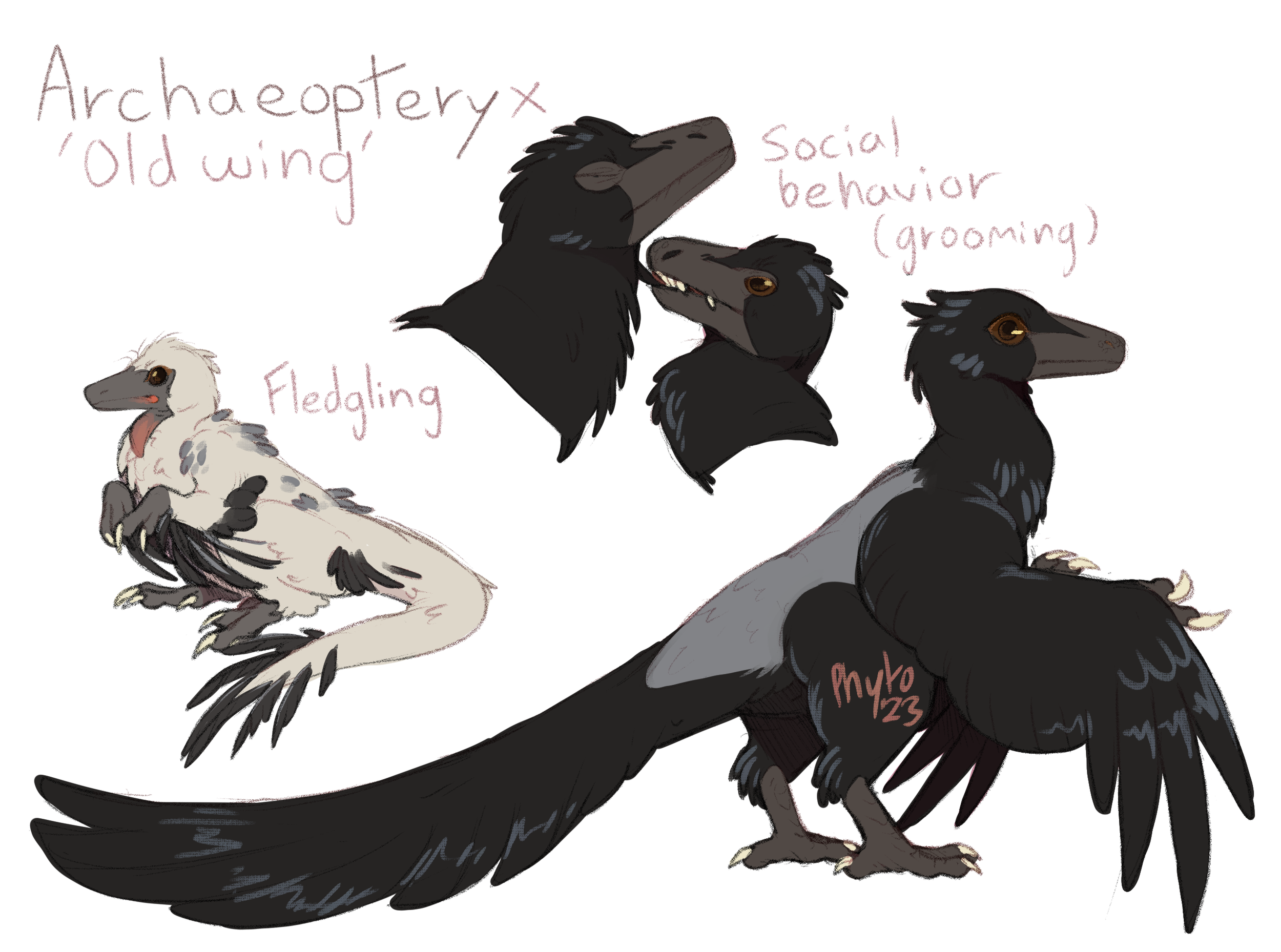 archaeopteryx.png