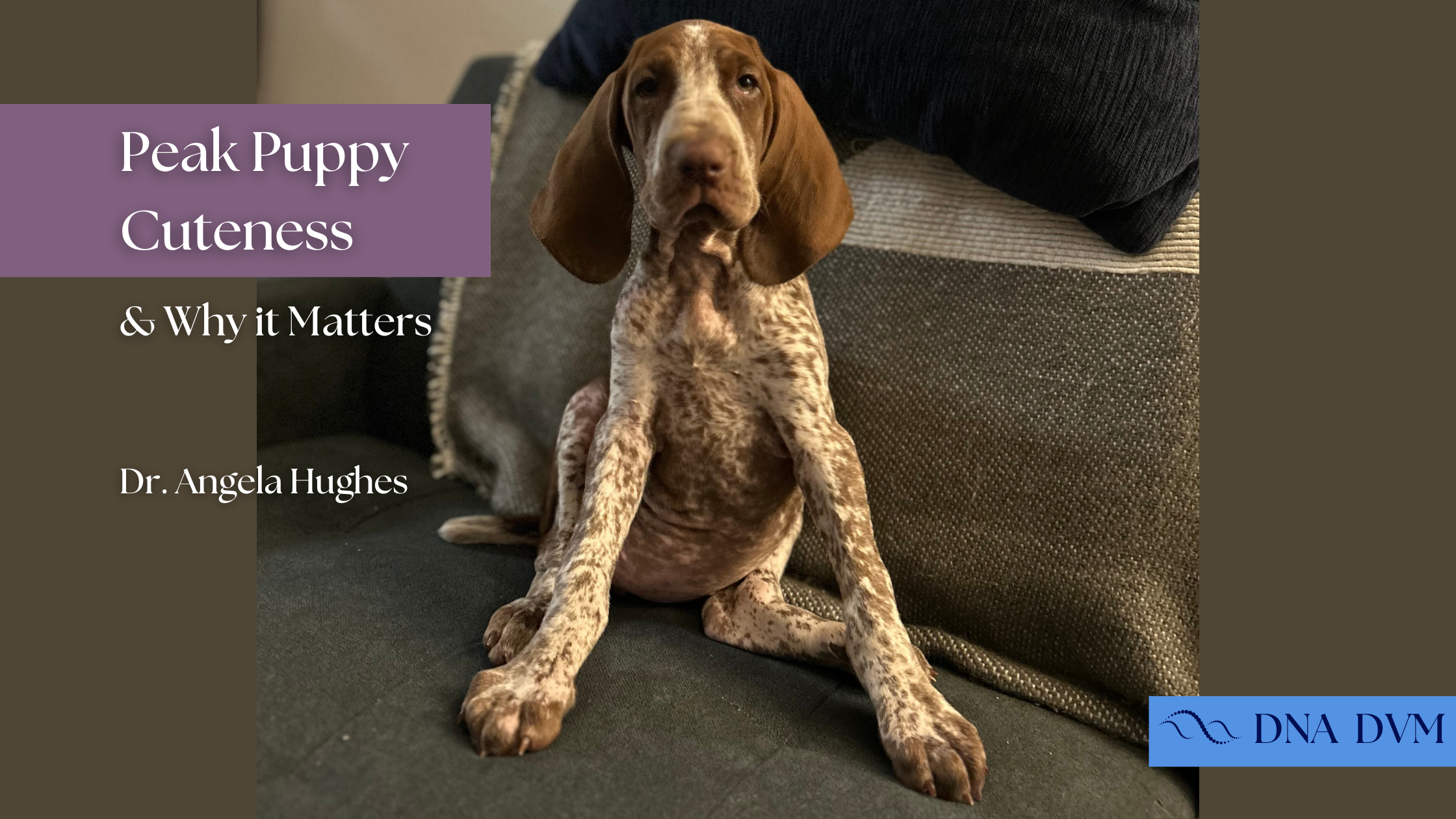 Peak Puppy Cuteness & Why It Matters