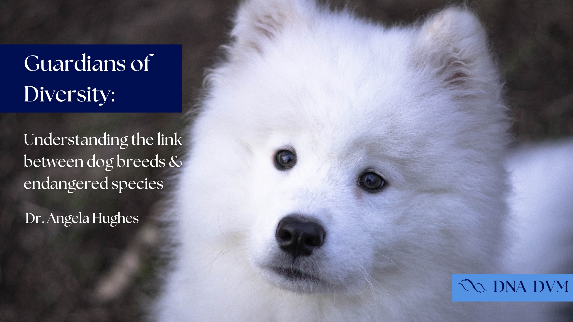 Guardians of Diversity: Understanding the link between dog breeds & endangered species