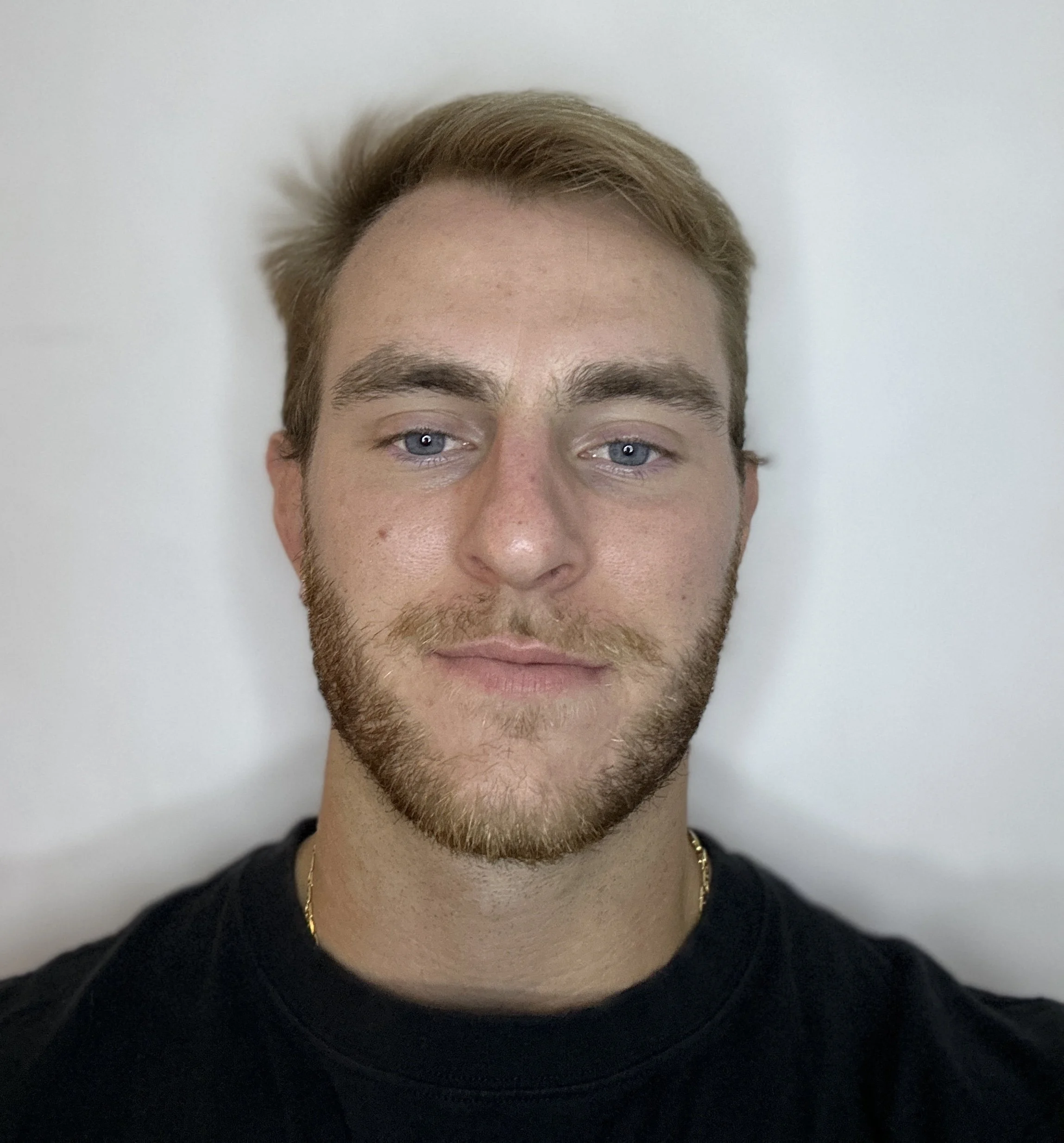 Tate Seidewand
