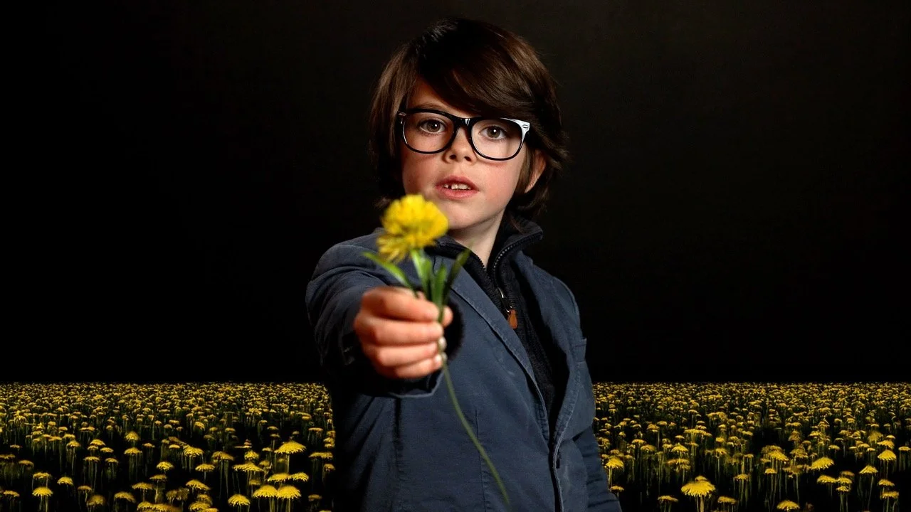 "The Playground" Takes Flight: From Cape Cod to Washington State