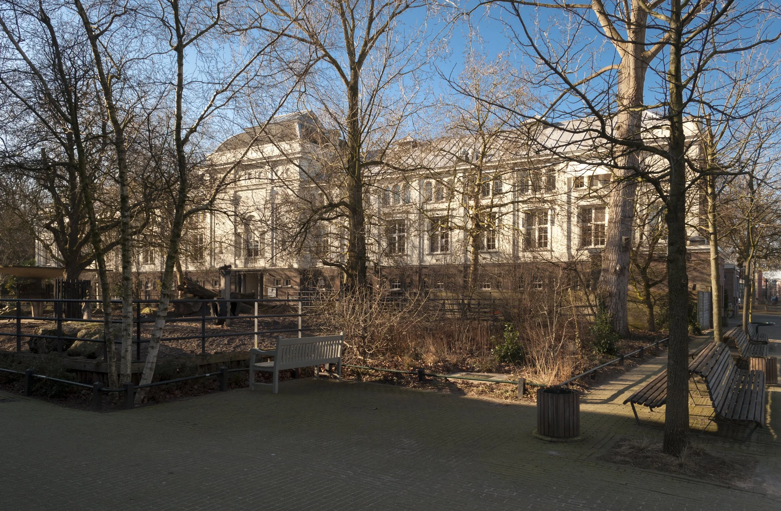 Een park met bankjes, bomen zonder bladeren en een groot wit gebouw op de achtergrond, onder een blauwe lucht.