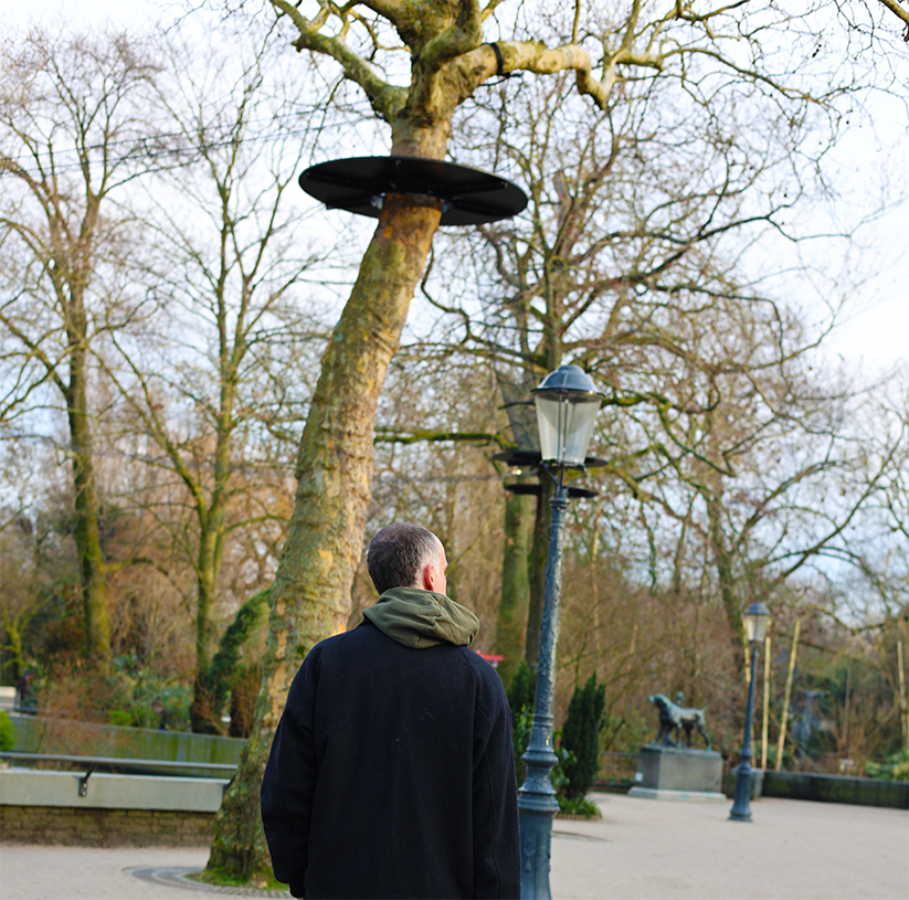 Man kijkt naar een boom met een zwart opvallend object er boven.中文字.