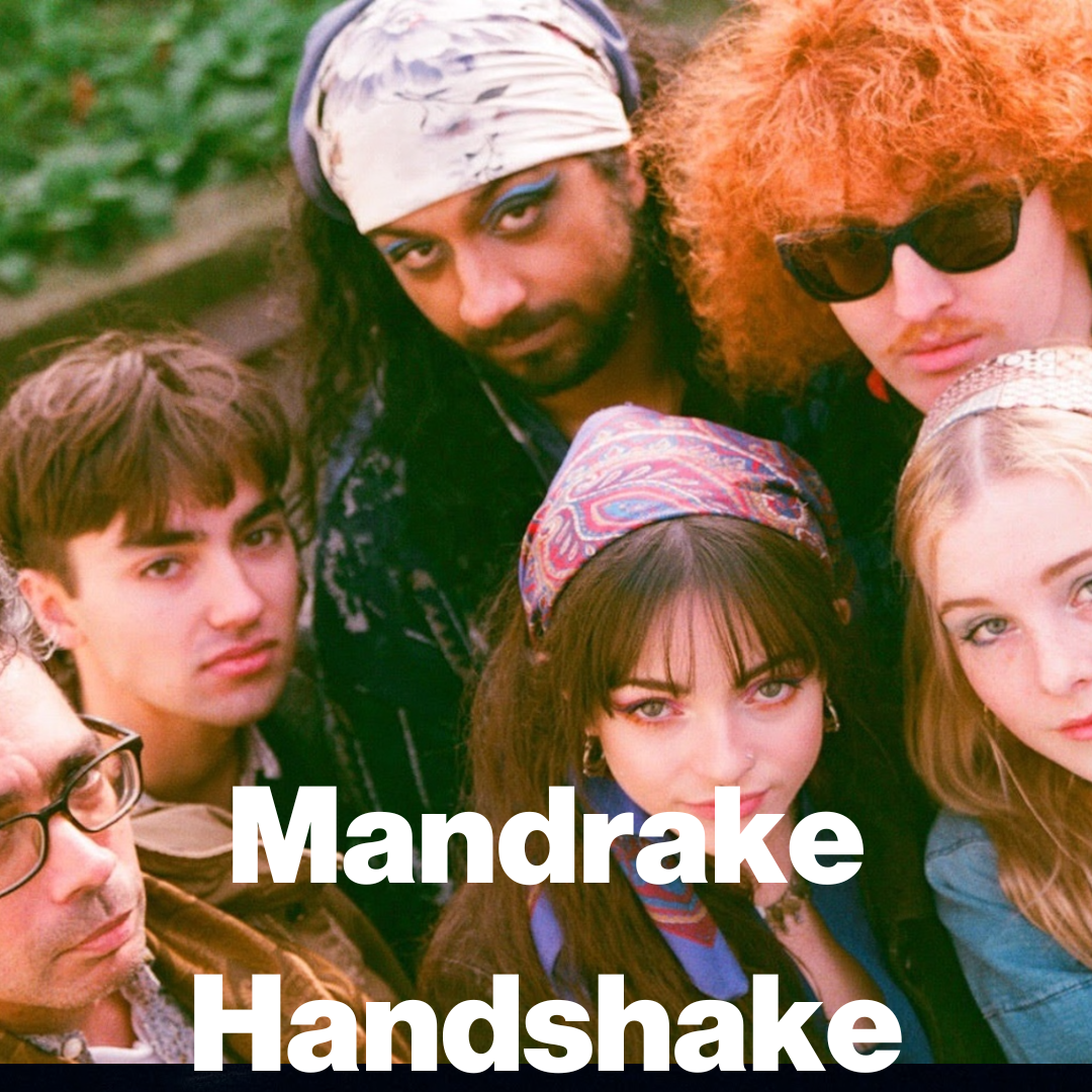 https://mandrakehandshake.bandcamp.com/