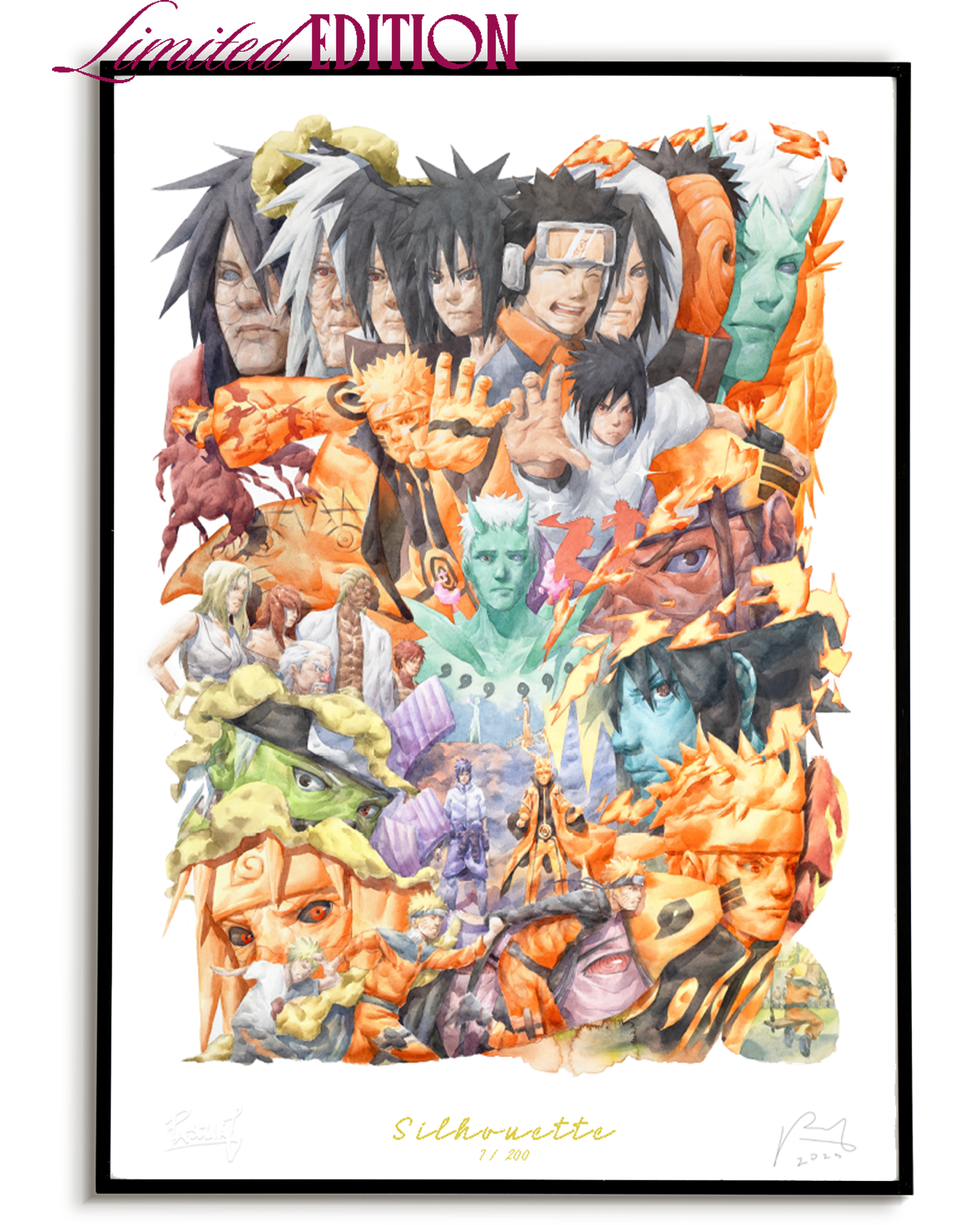 SILHOUETTE LE FRAMED DS.png