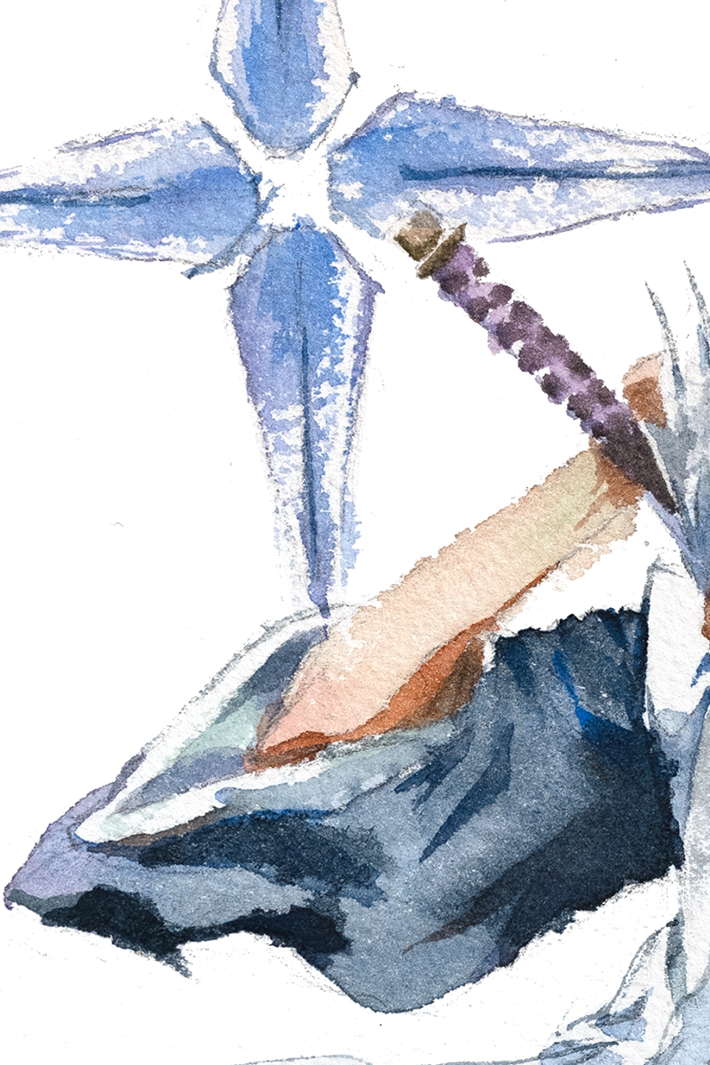 toshiro-crop-3.png