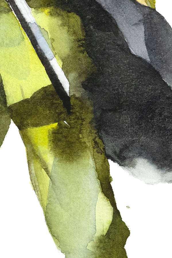 kisuke-crop-4.png