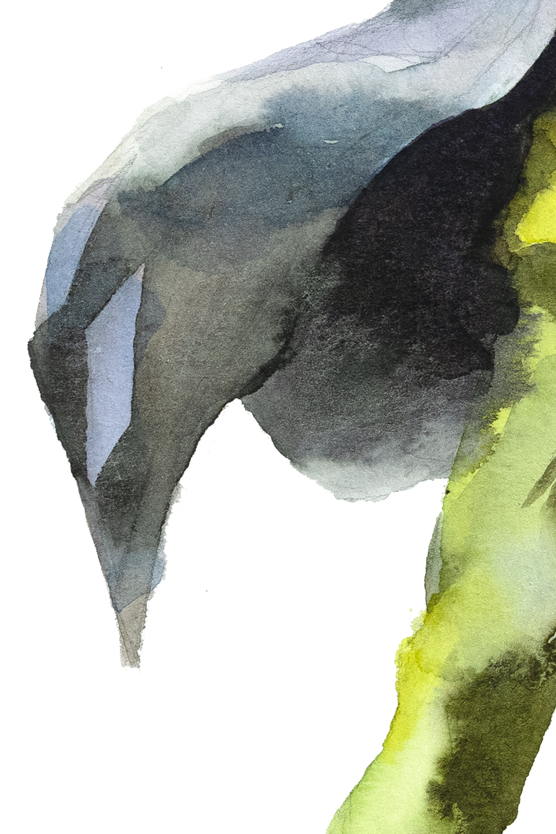 Kisuke-crop-1.png