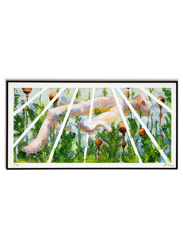 Narcissus Limited Edition