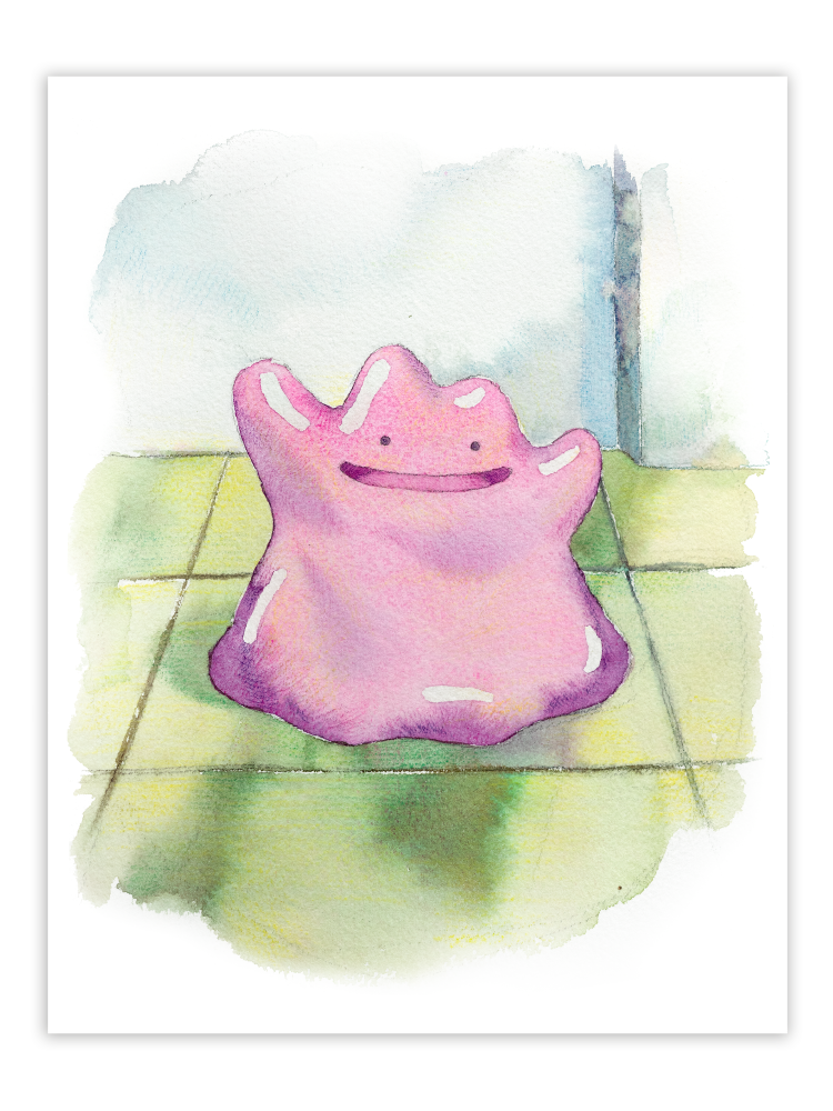DITTO DS.png