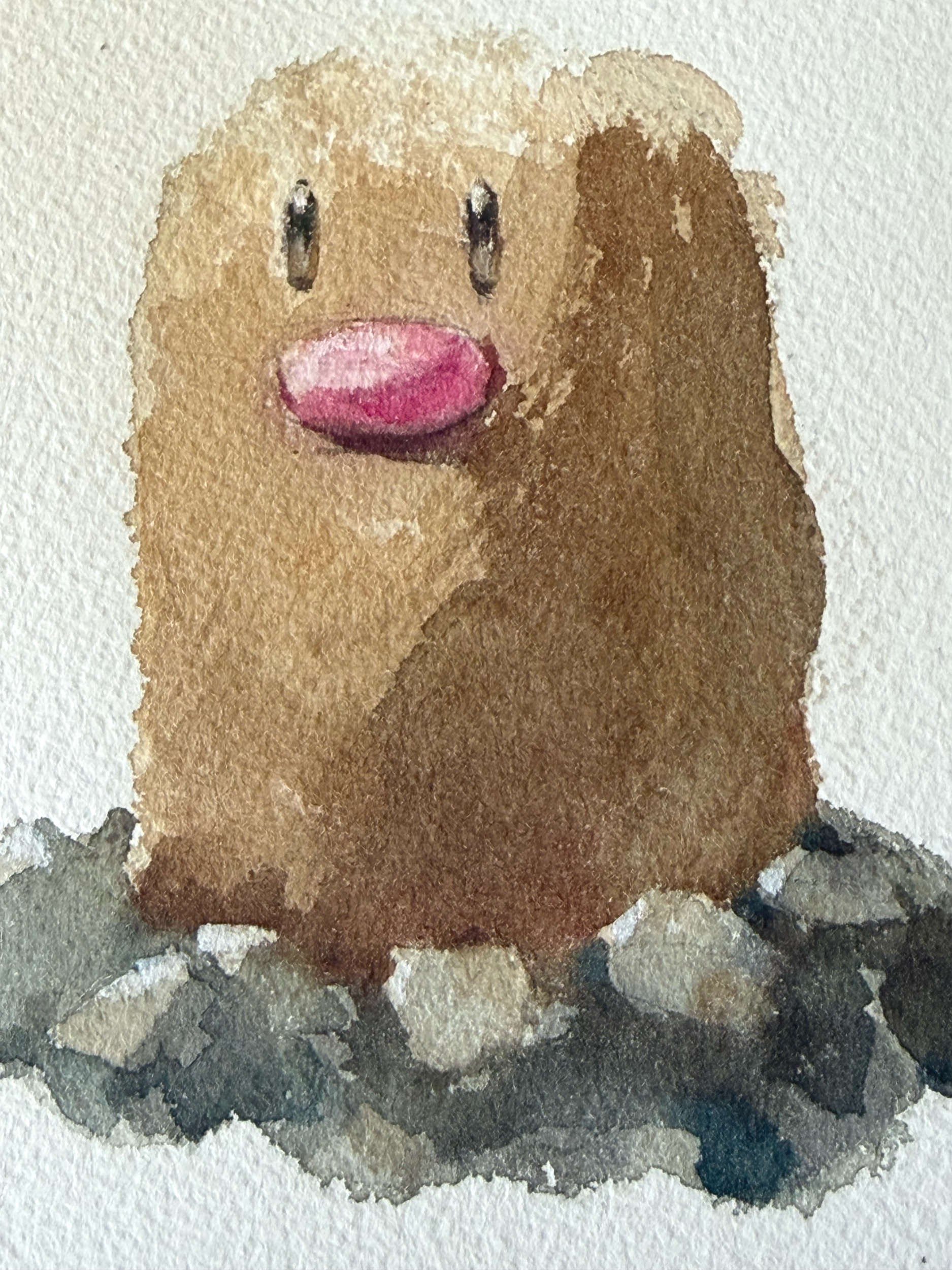 IMG_1007.png