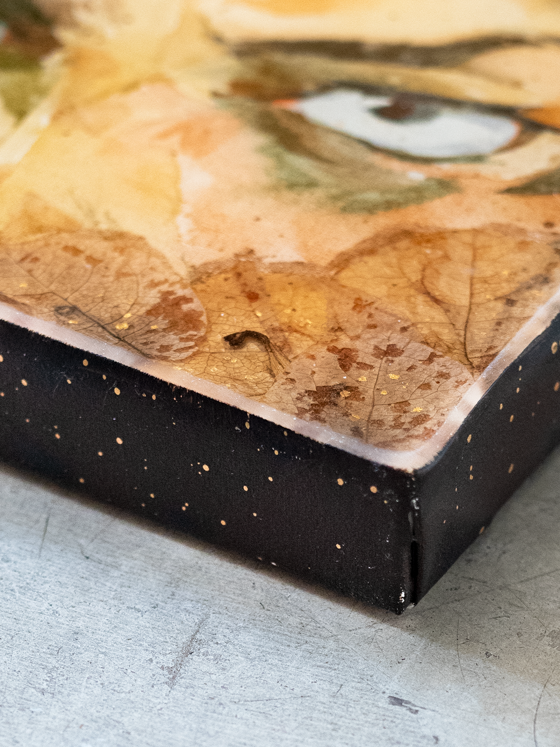 MUGEN-DETAIL-4.JPG