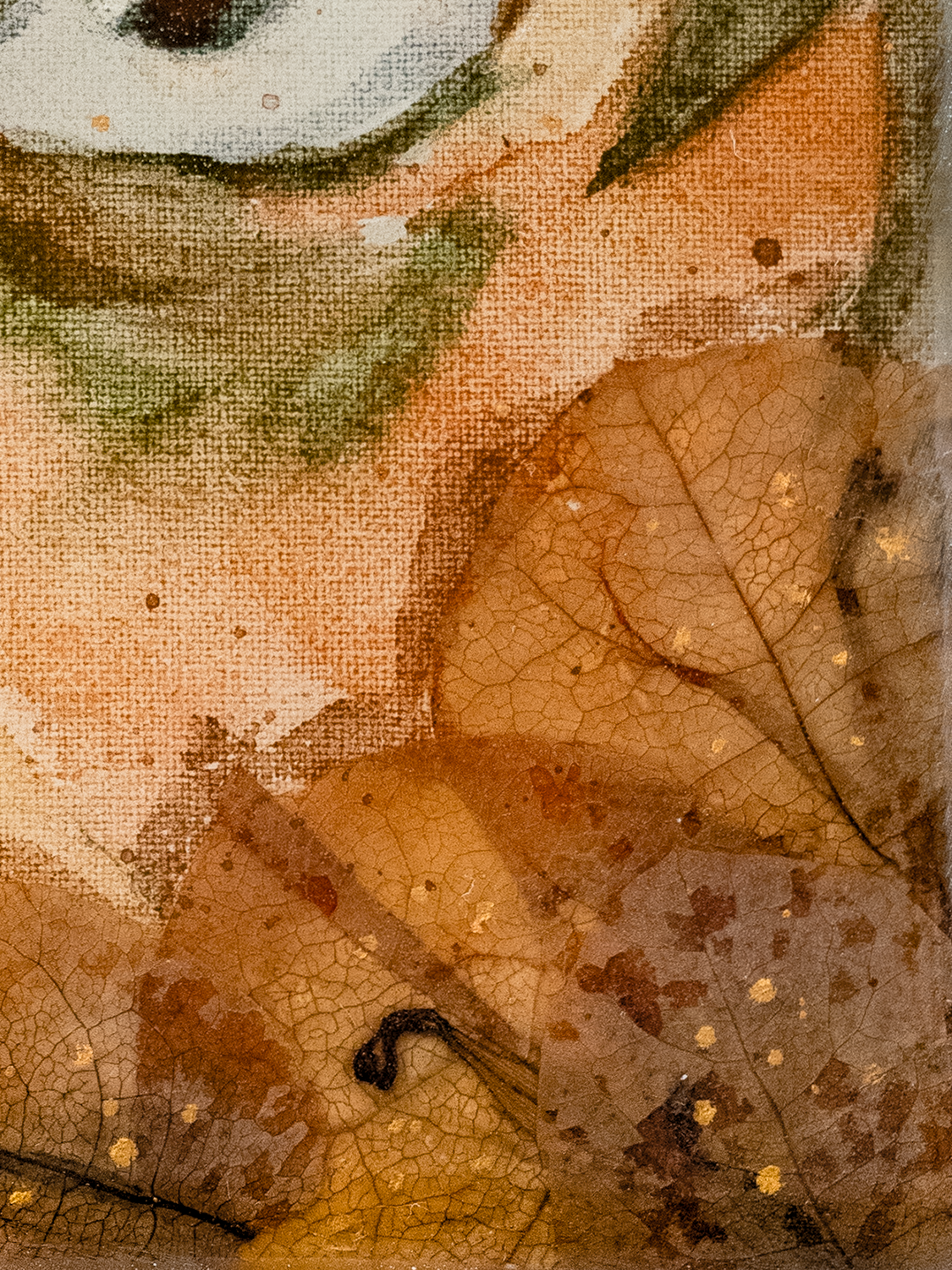 MUGEN-DETAIL-1.JPG