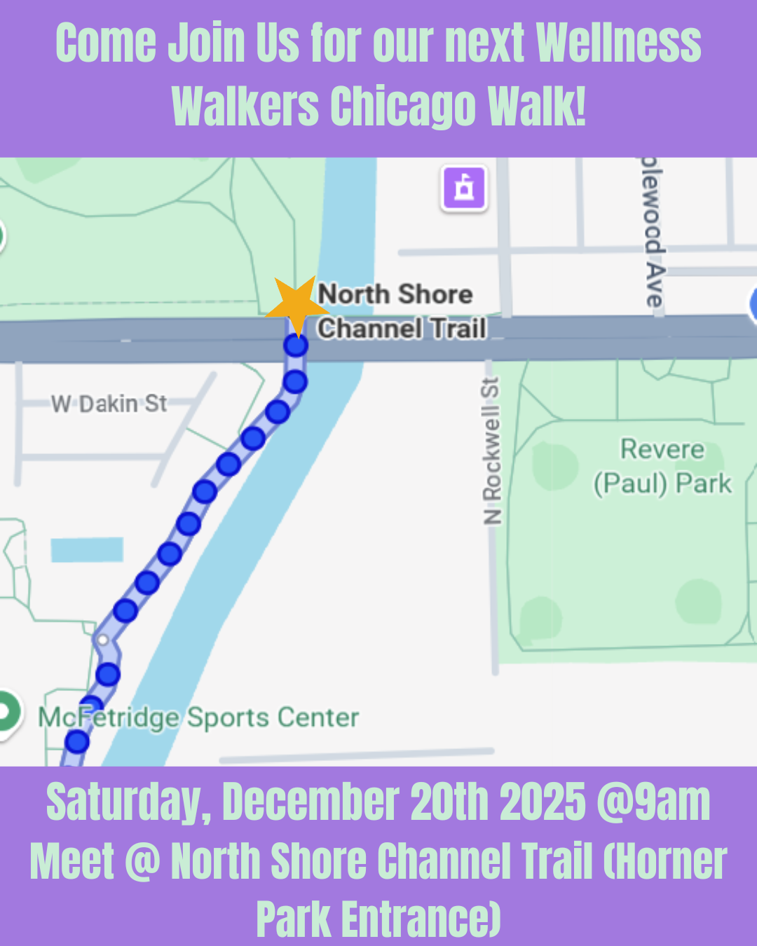 Wellness Walkers Chicago Walk