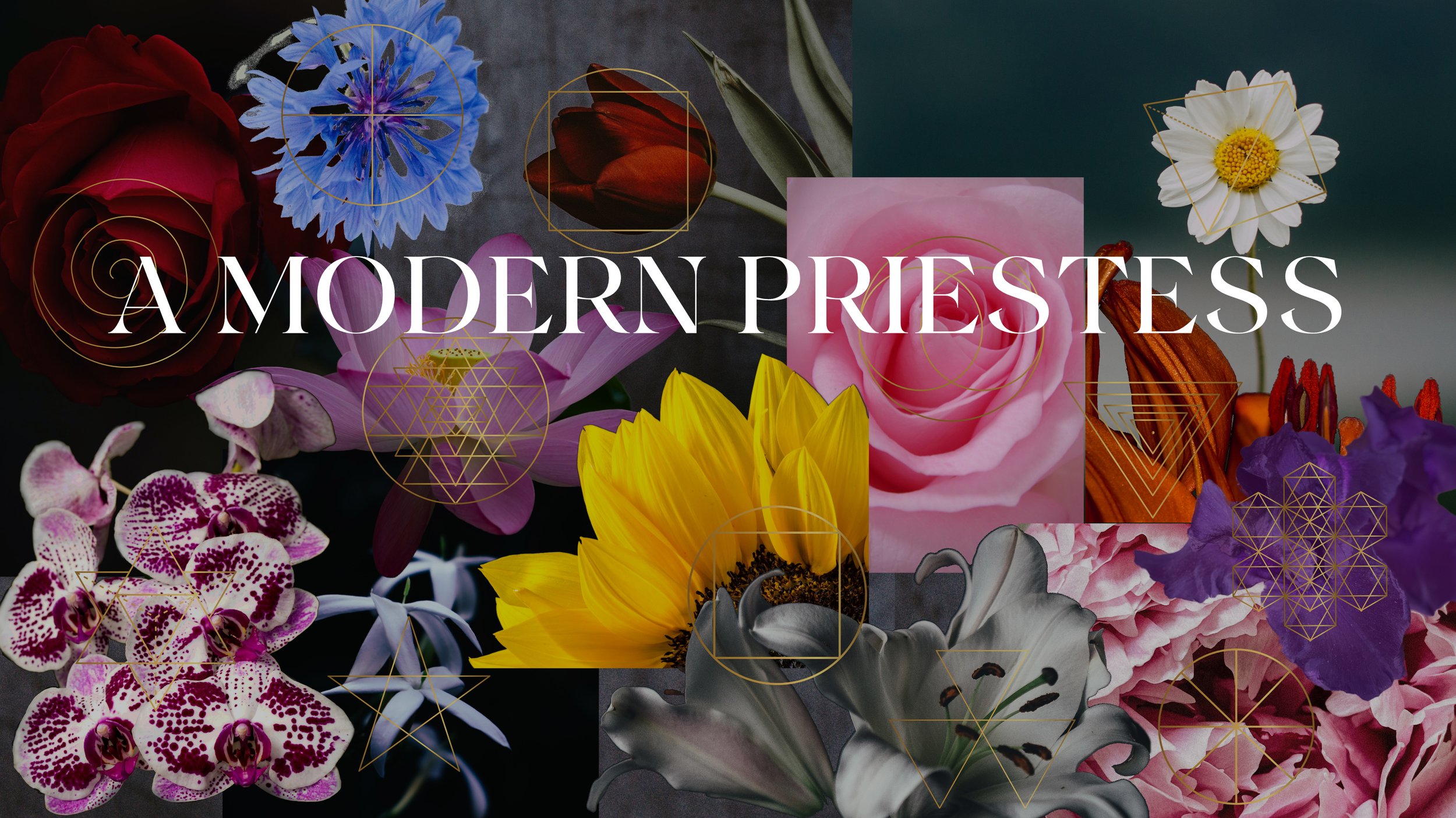 a modern priestess home collage.jpg