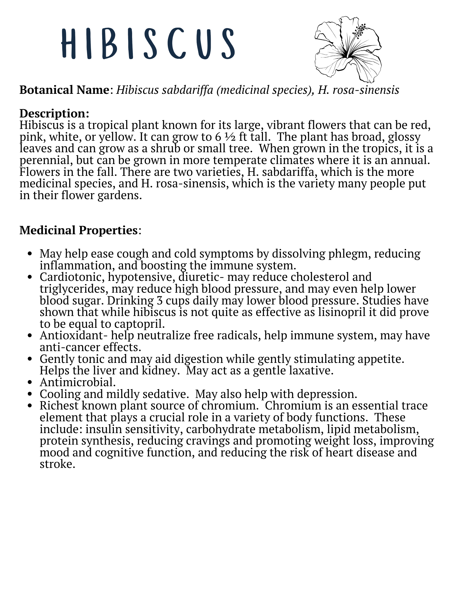 GAF Herb Book Example page 2.png