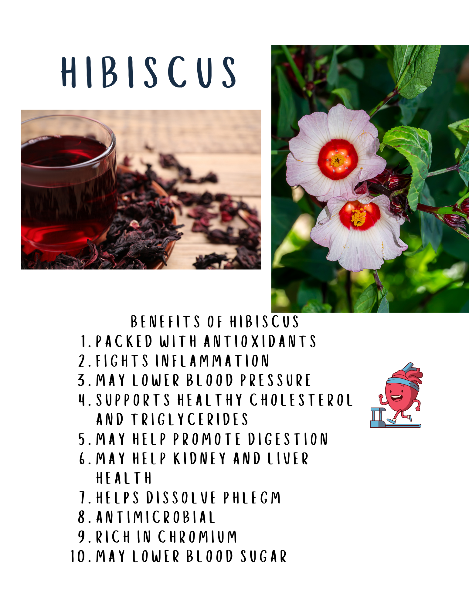 GAF Herb Book Example page 1.png
