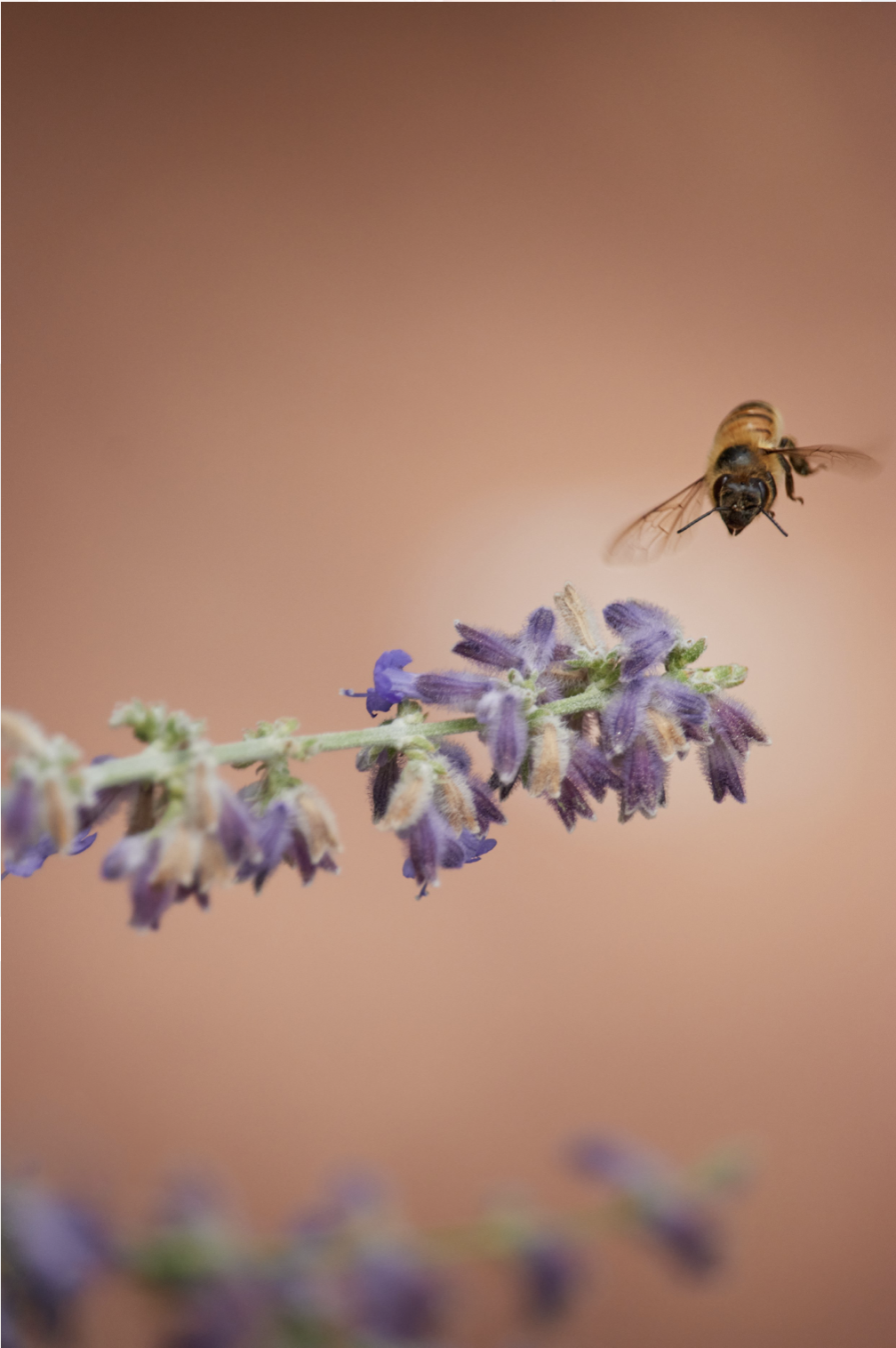 Screenshot 2023-08-28 at 5.01.39 PM.png