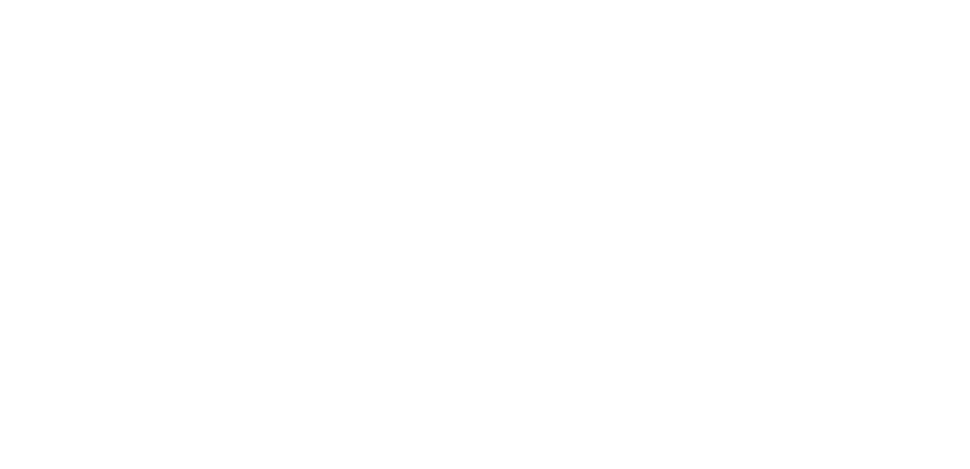 NACHO 2.0.png