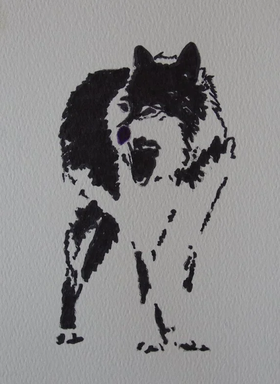 Wolf from cedar meadows stark.JPG