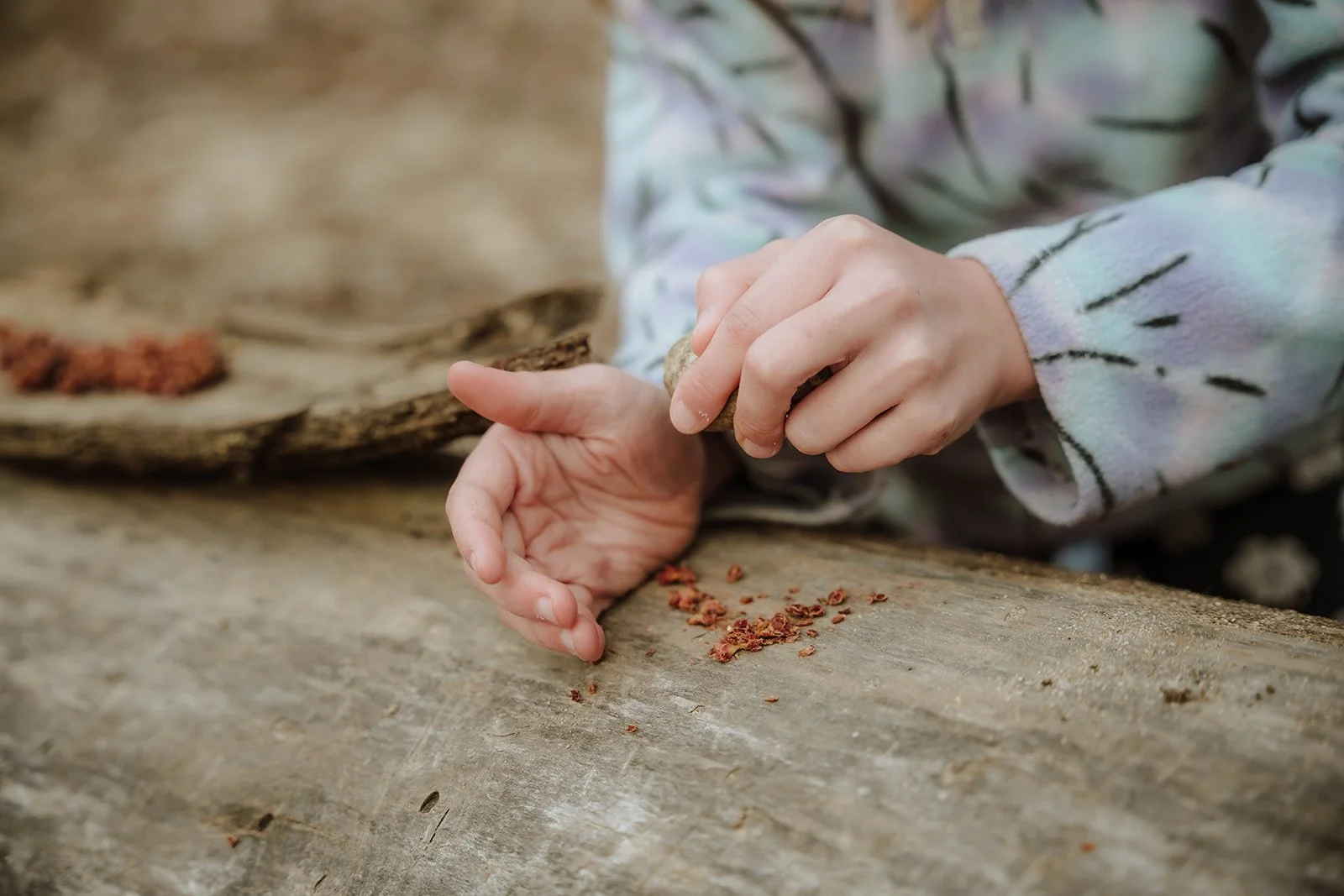 June 15 - 19: Wildcrafting Techniques | Boise