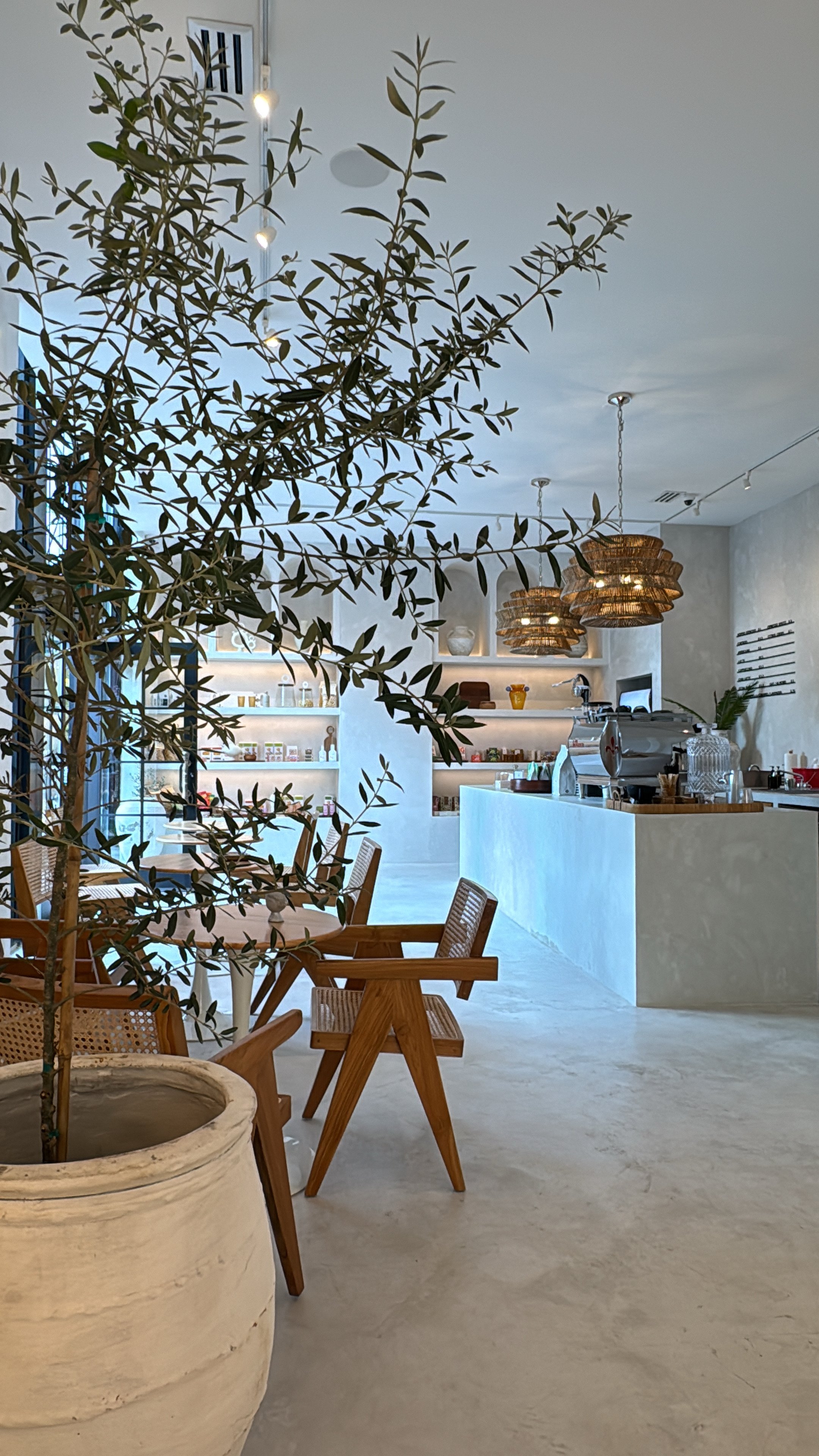 Interior of a modern cafe or bakery with a large potted olive tree in the foreground, wooden chairs and tables, a white counter with a coffee machine, and shelves with jars and decorative items, all illuminated by hanging wicker pendant lights.