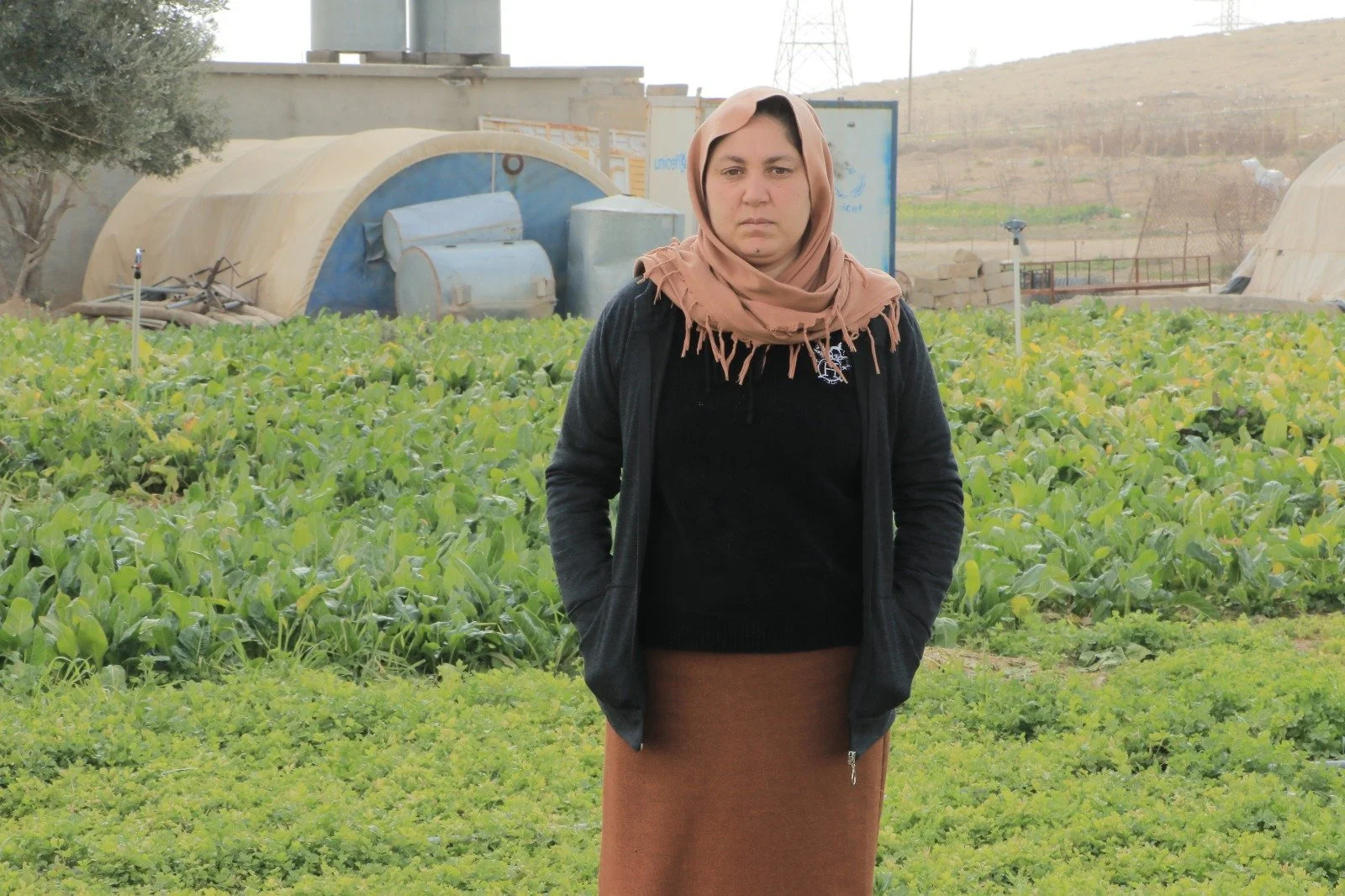 Empowering Women in Sinjar's Agricultural Sector