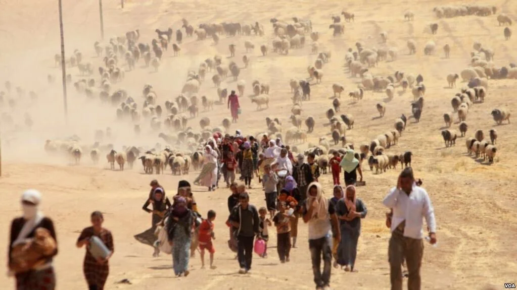 Nadia’s Initiative Statement on Recognition of the Yazidi Genocide by Governments of Belgium and the Netherlands