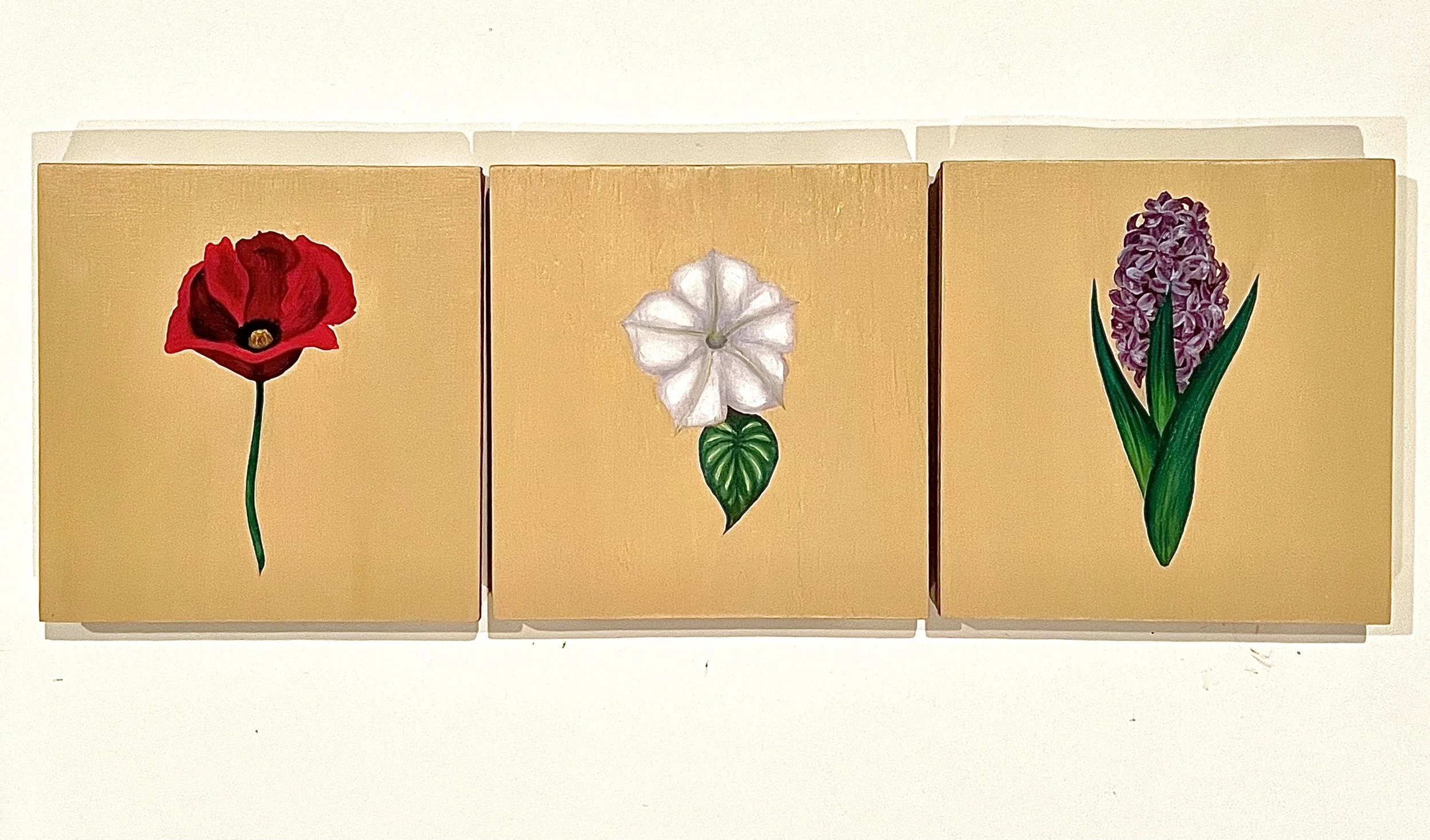 Poppy, Moonflower, Hyacinth
Oil on Wood
6x6", 2024