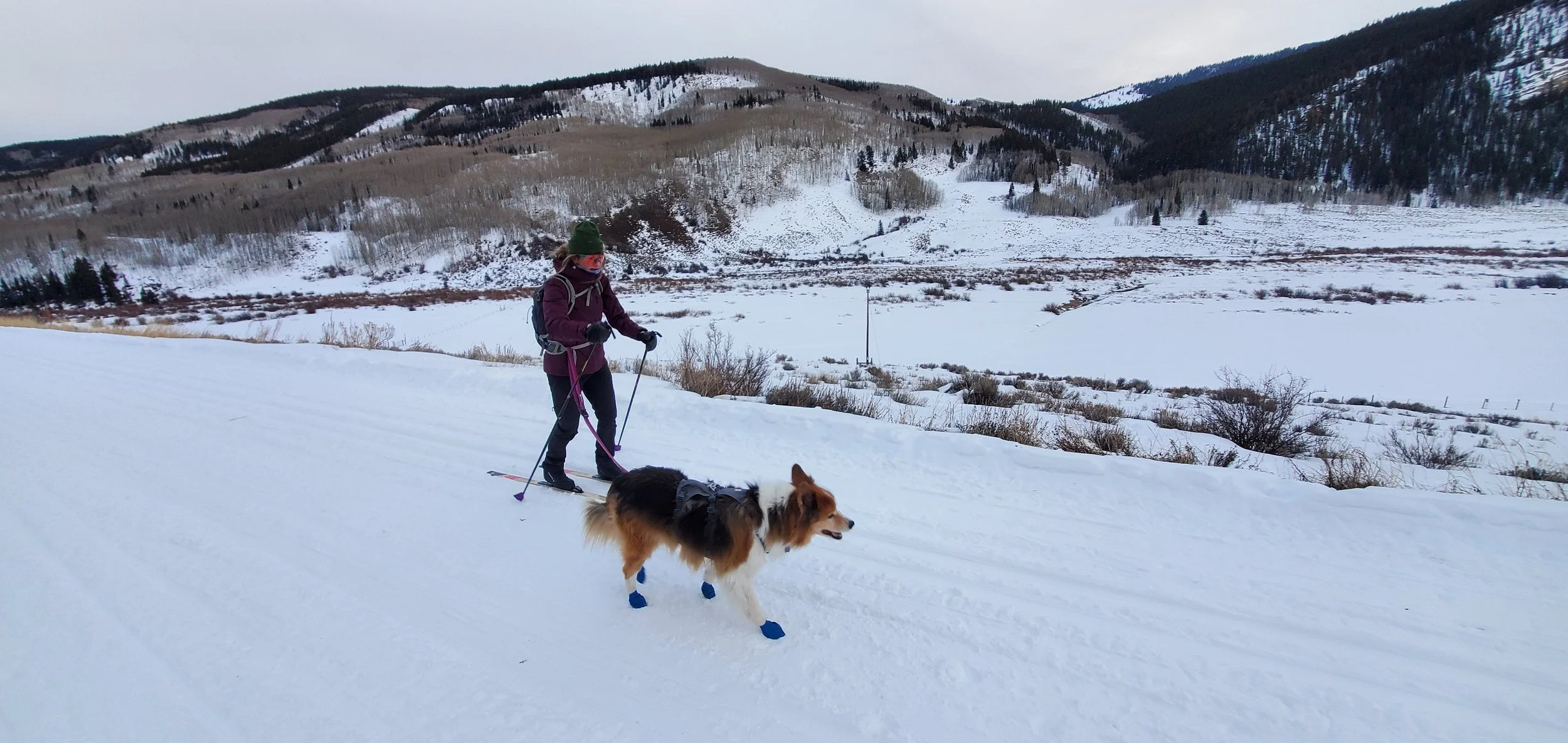 Avalanche Awareness for Cross Country Skiers and Snowshoers