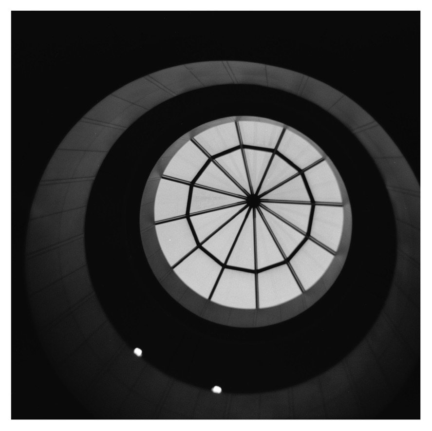 Looking Up (1) (2021), 
Holga 120N, 
6 x 6 cm 
