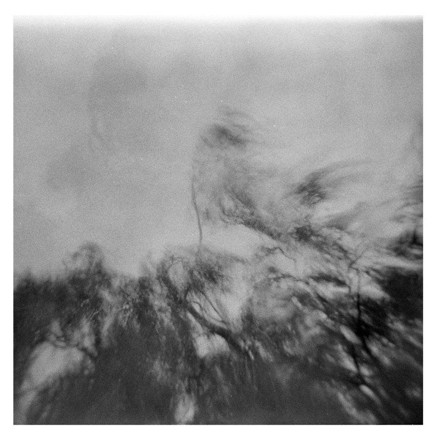 Looking Up (2) (2021), 
Holga 120N, 
6 x 6 cm 