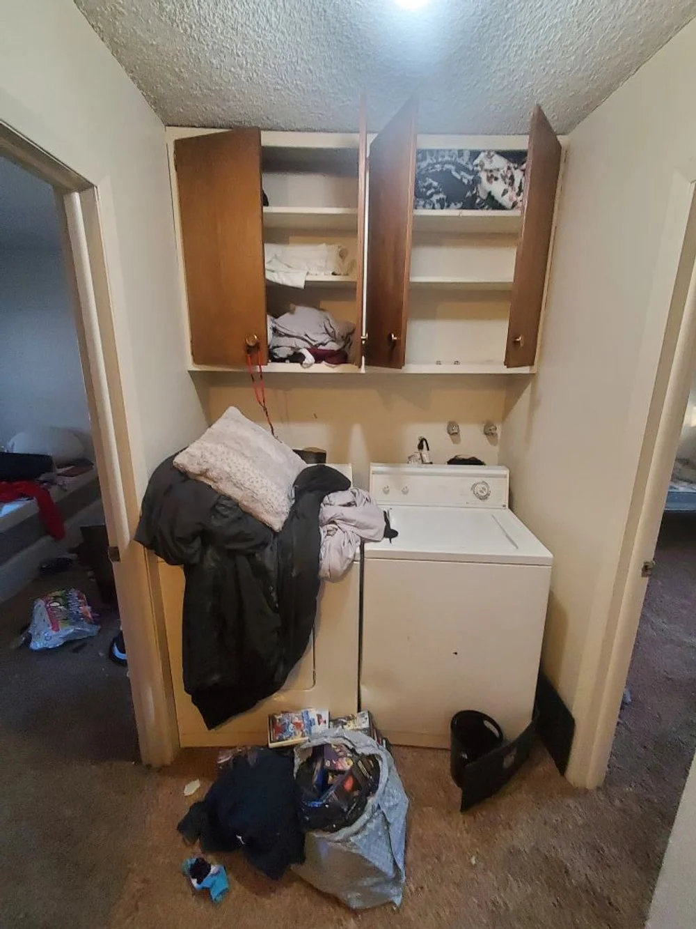 BeechCleanup11.jpg