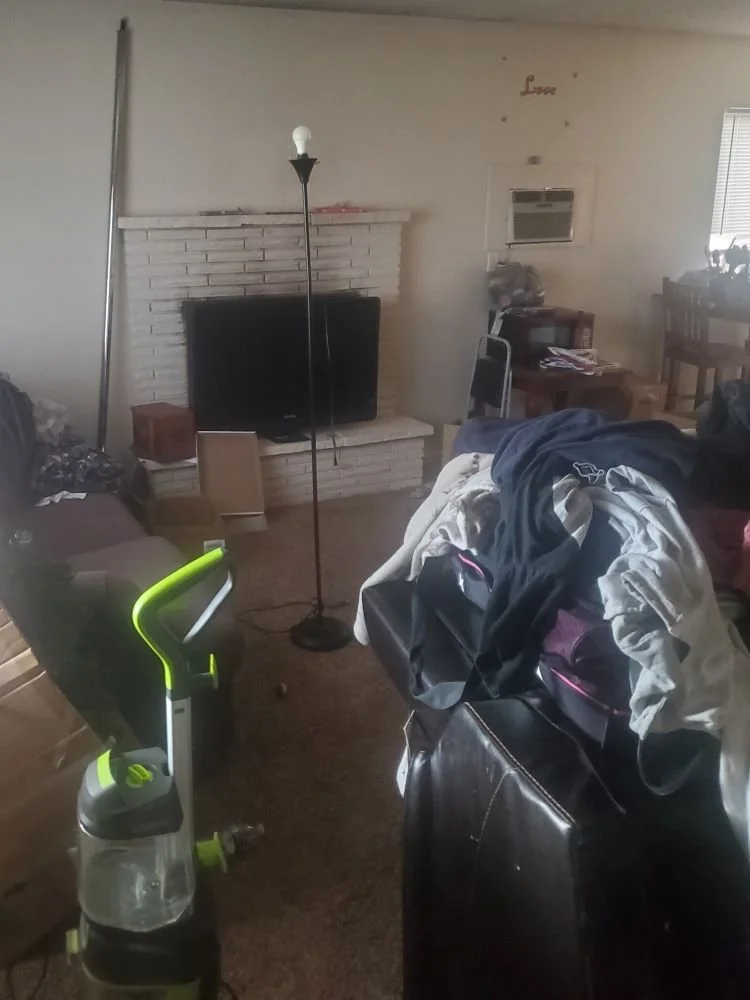BeechCleanup.jpg