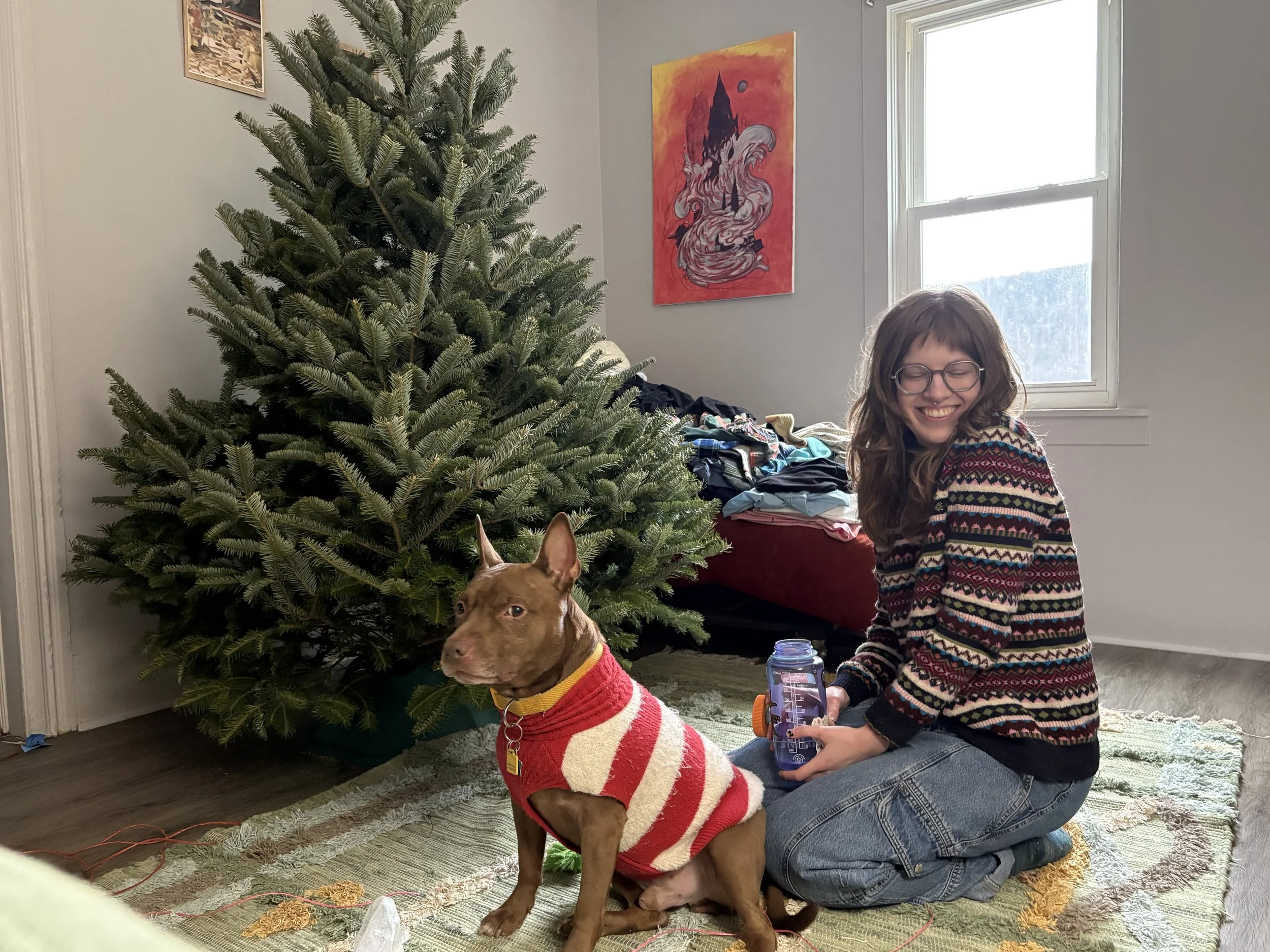 middle of december happenings 