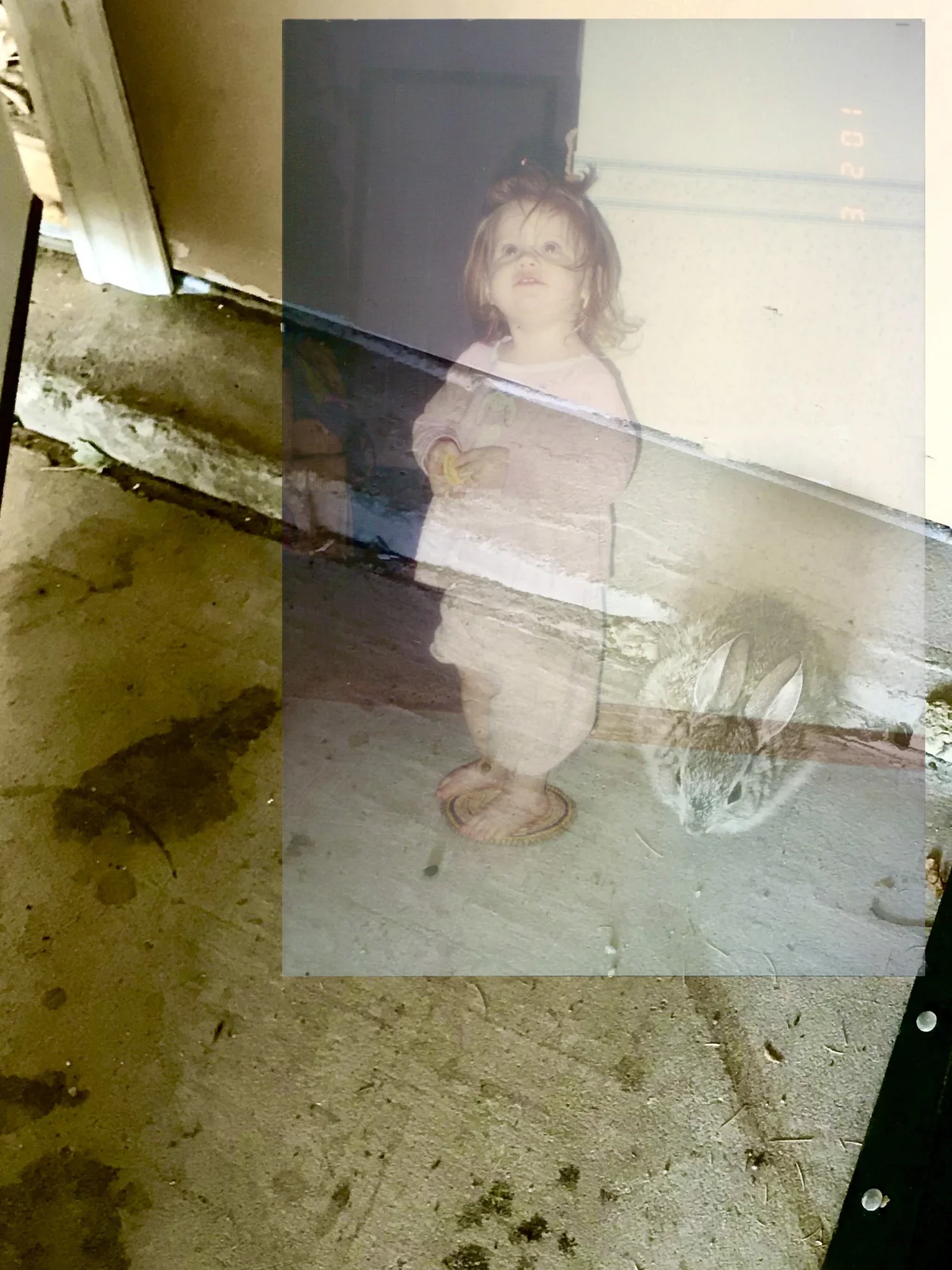 oldnew26.jpg.webp