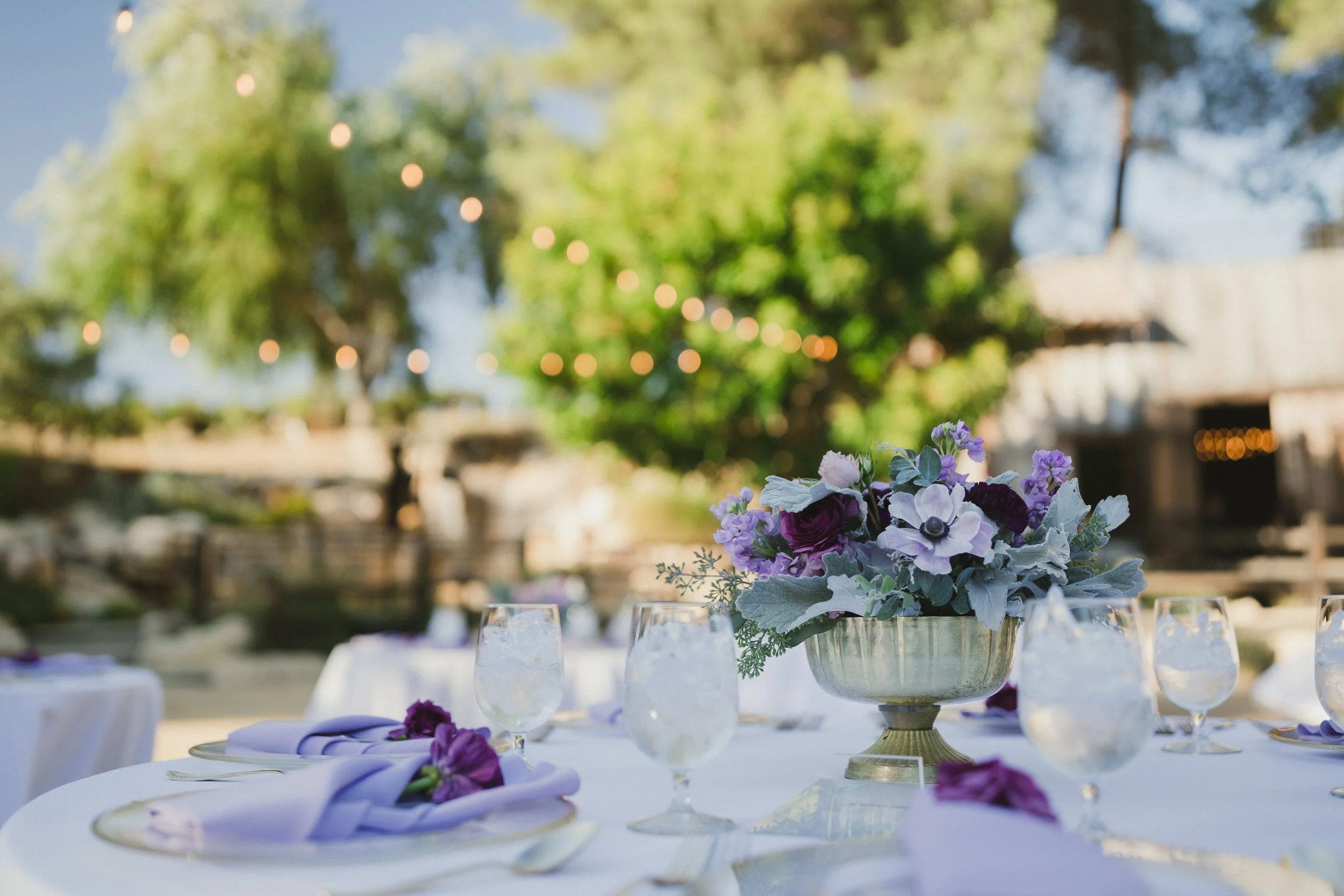 Elham+Craig ~ Married_331.jpg