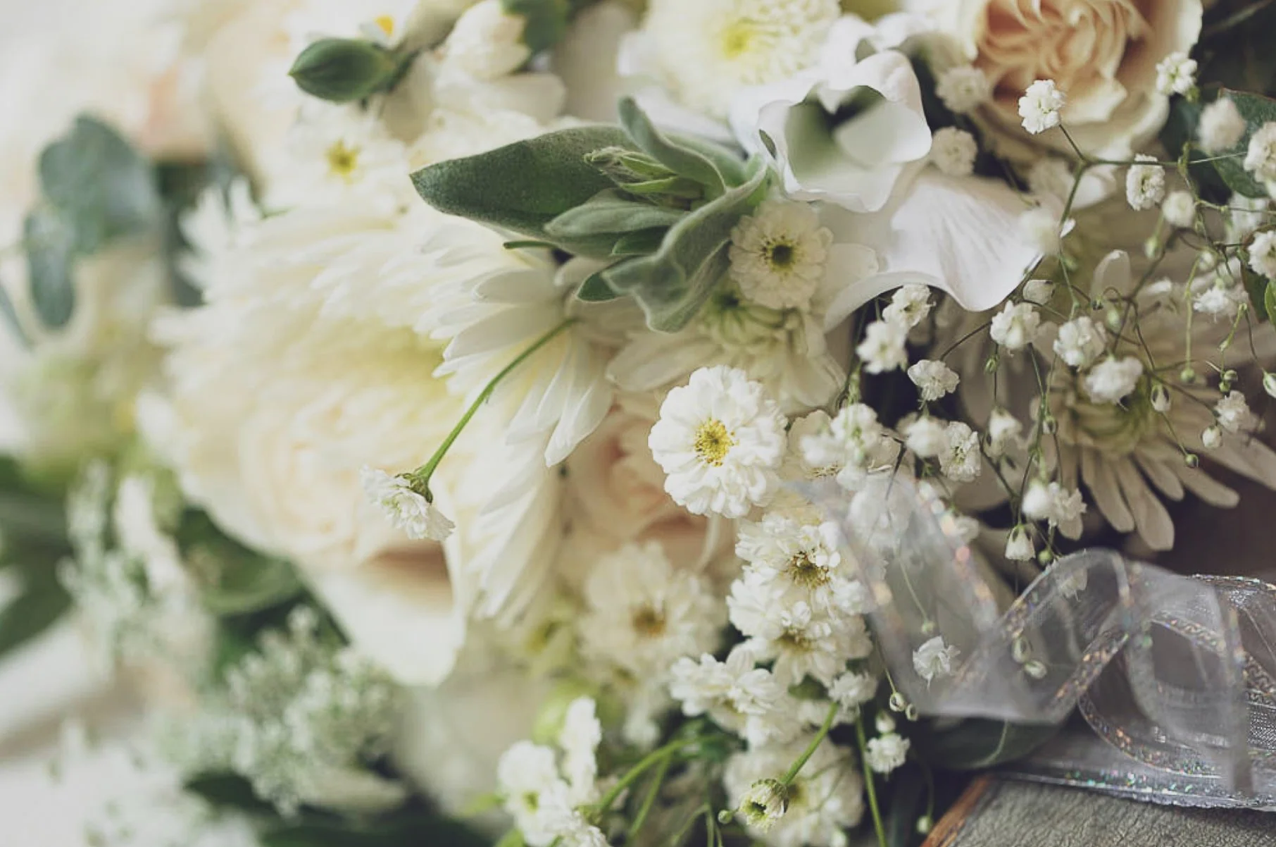 Screenshot 2023-05-12 at 10.24.55 AM.jpg