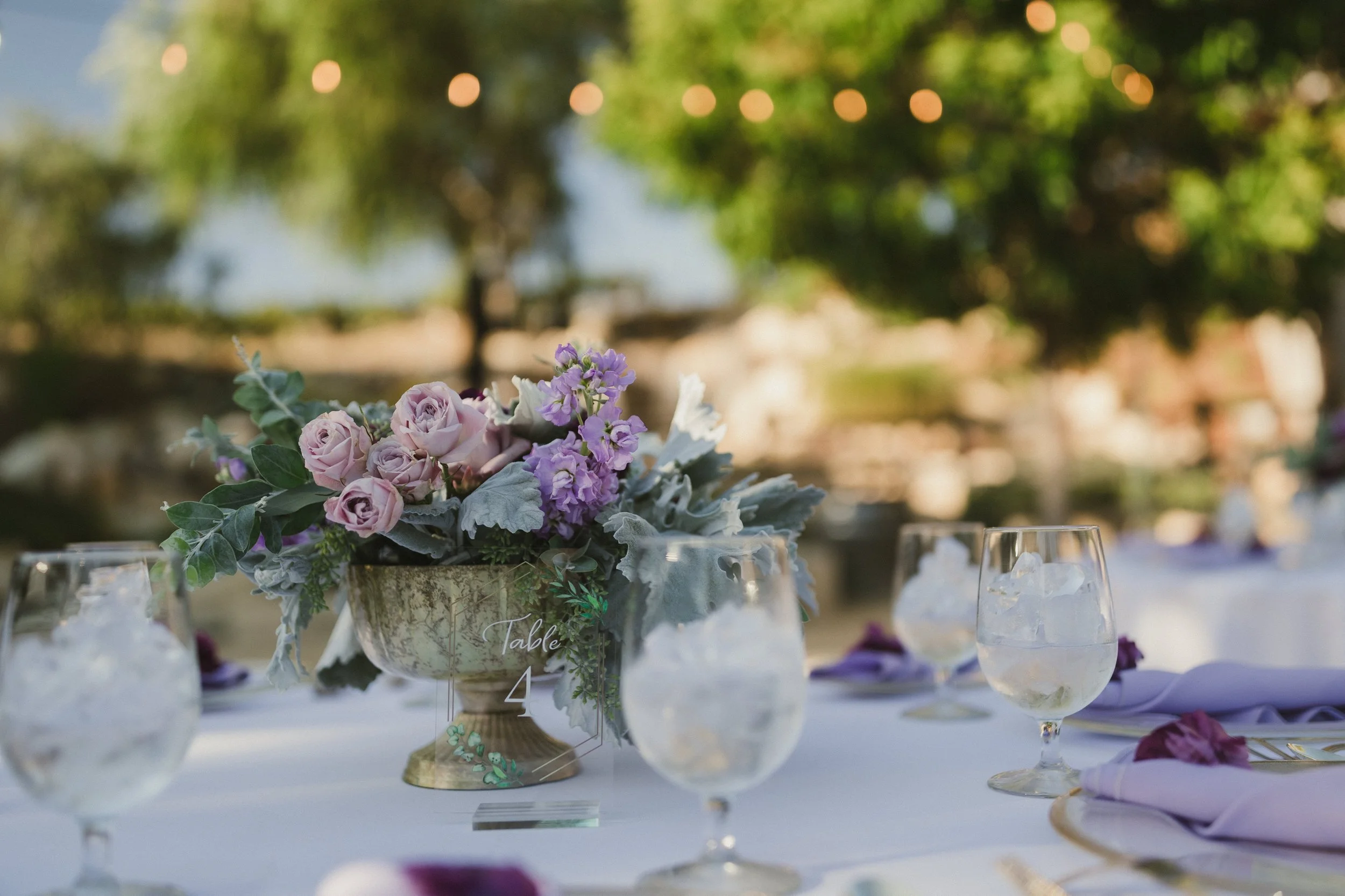 Elham+Craig ~ Married_335.jpg