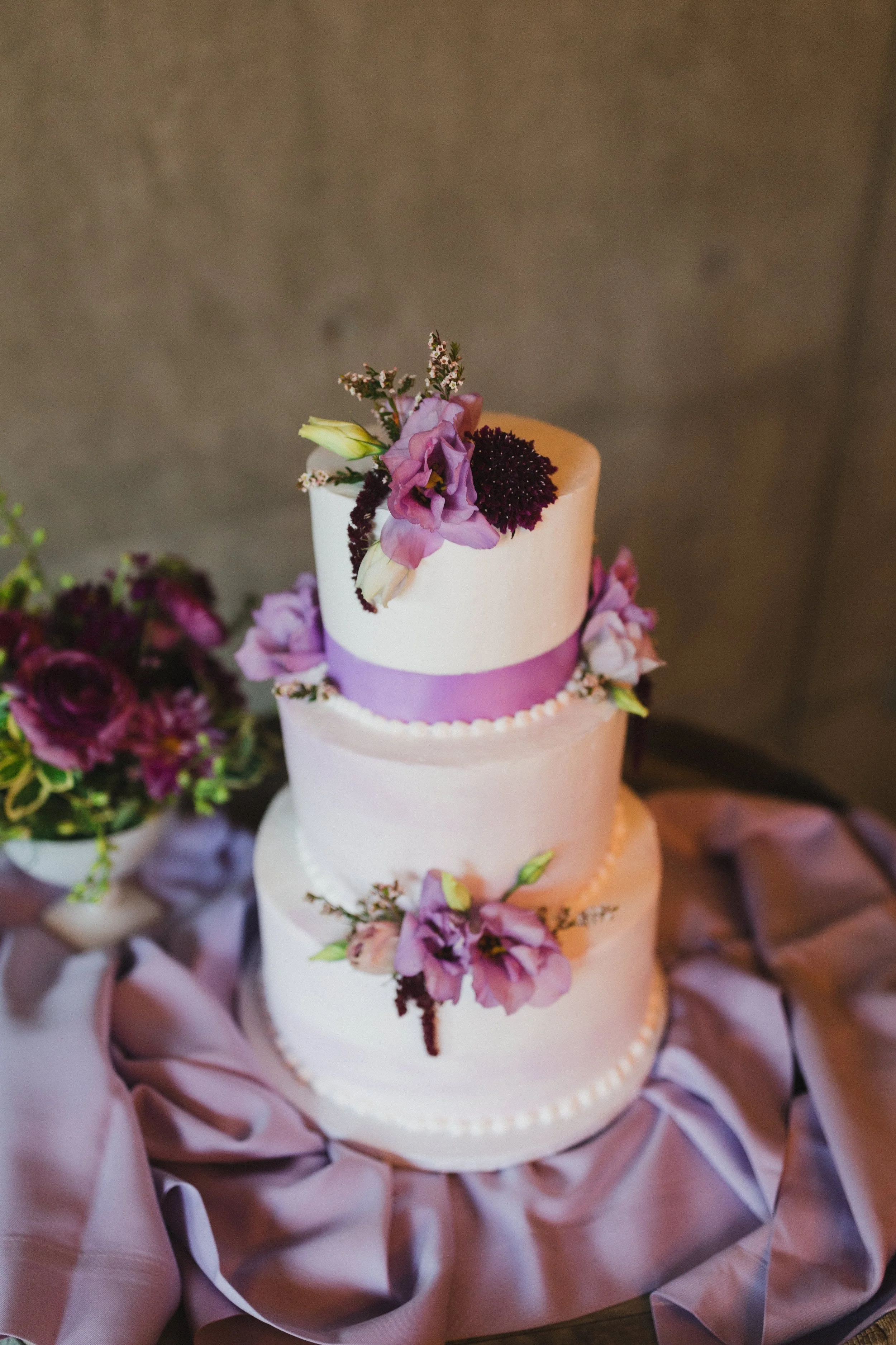 Elham+Craig ~ Married_398.jpg