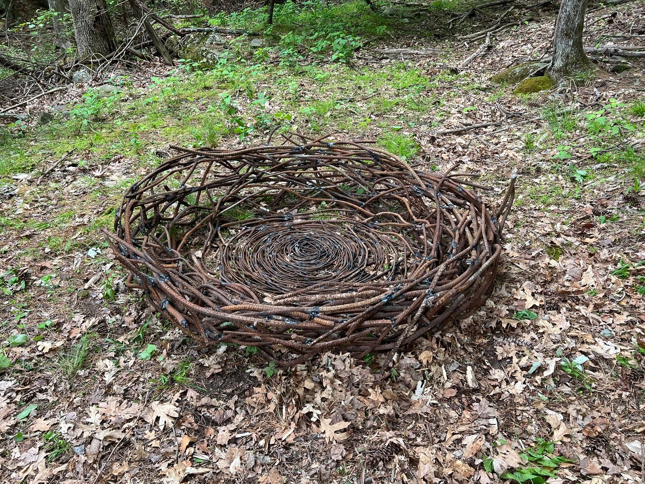 Wendy_Klemperer_Nest.jpeg