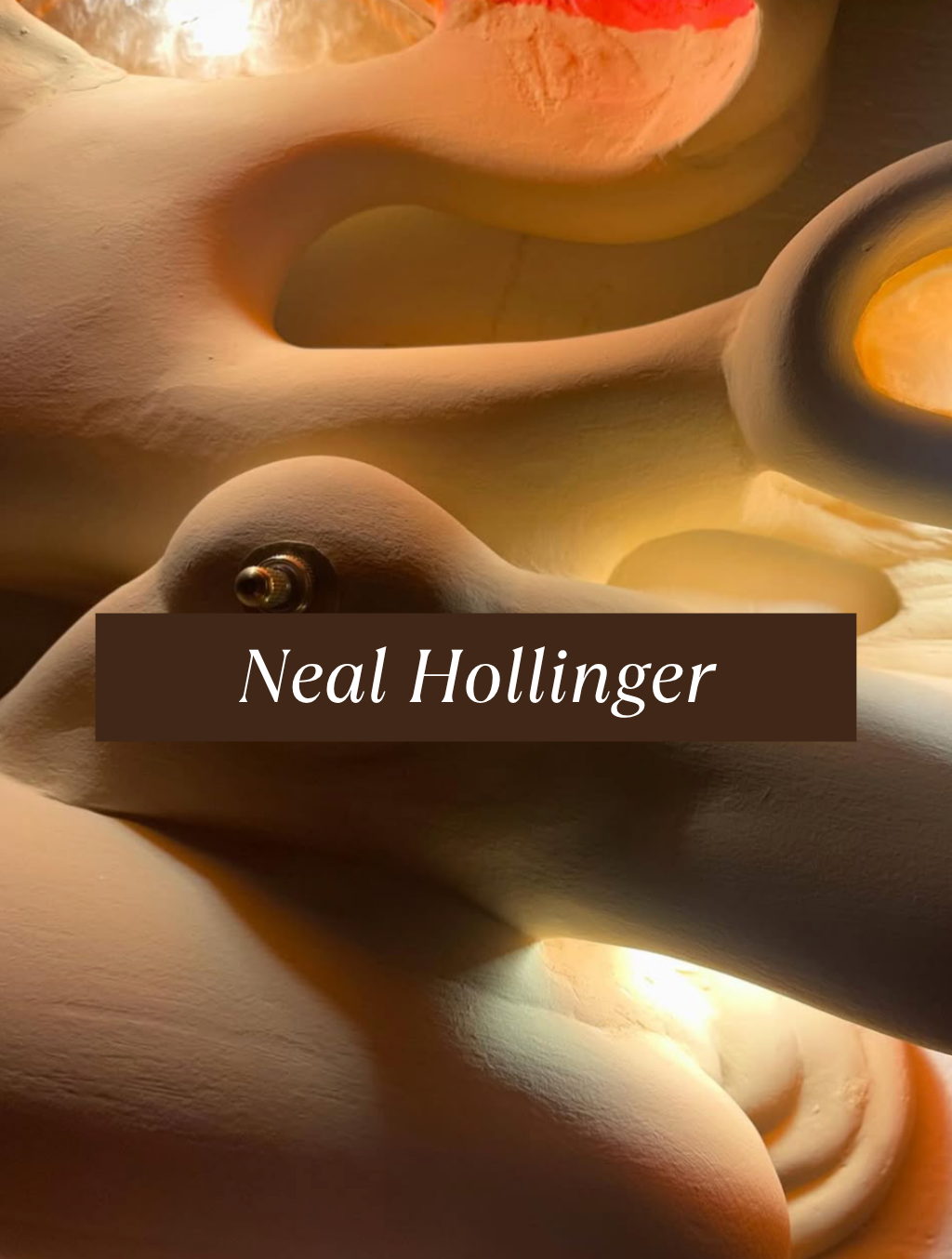 Neal Hollinger.png