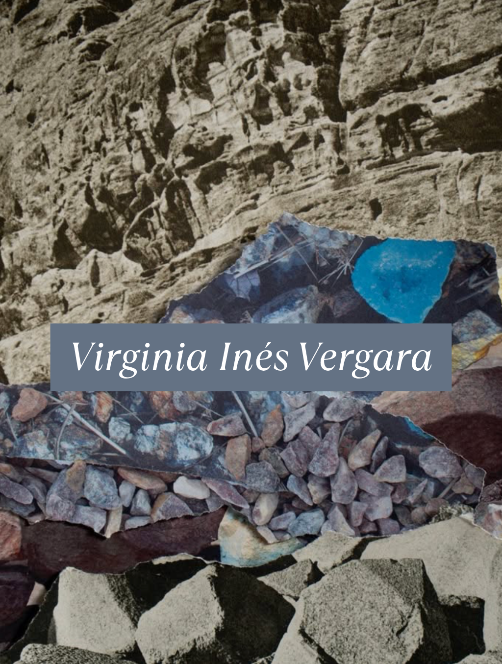 Virginia Inés Vergara.png