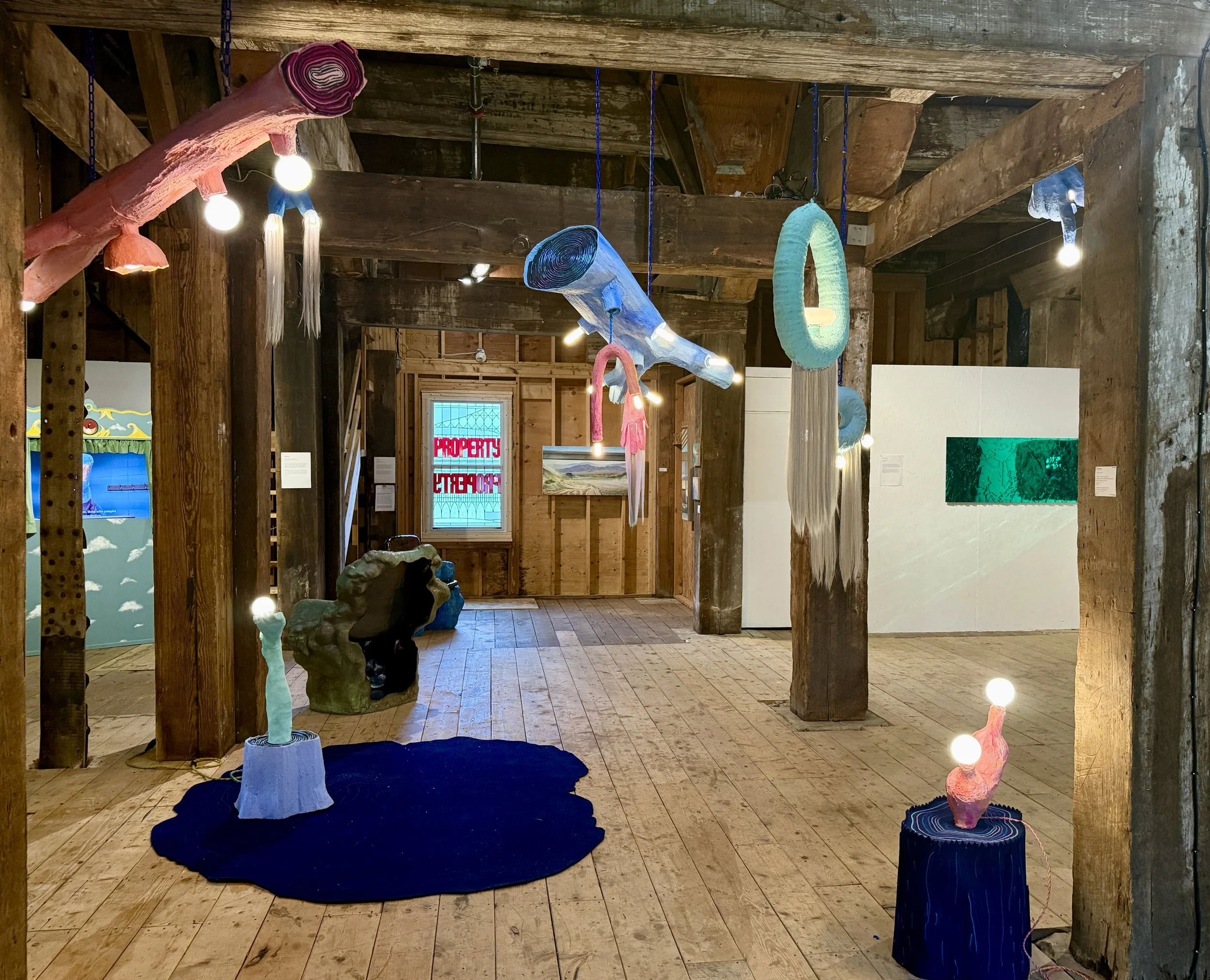 Lauren_Was_Wassaic_install.jpg